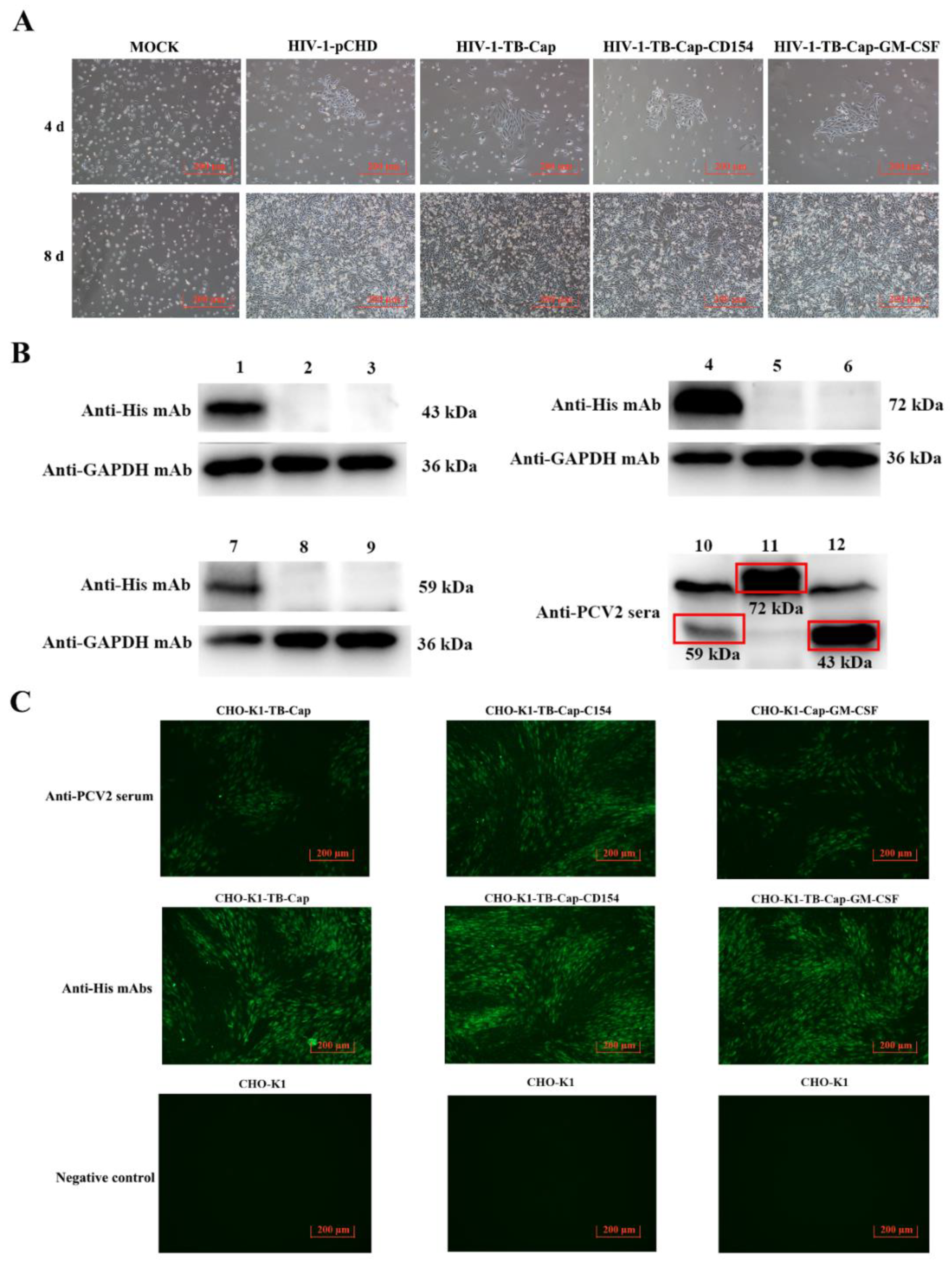 Vetsci 08 00211 g003 550