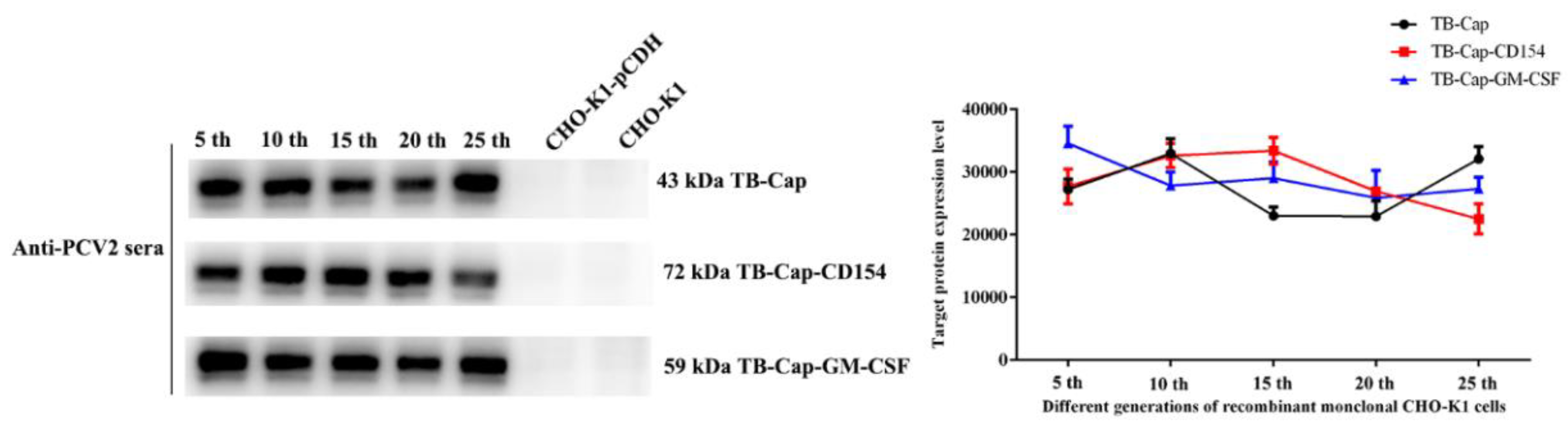Vetsci 08 00211 g004 550