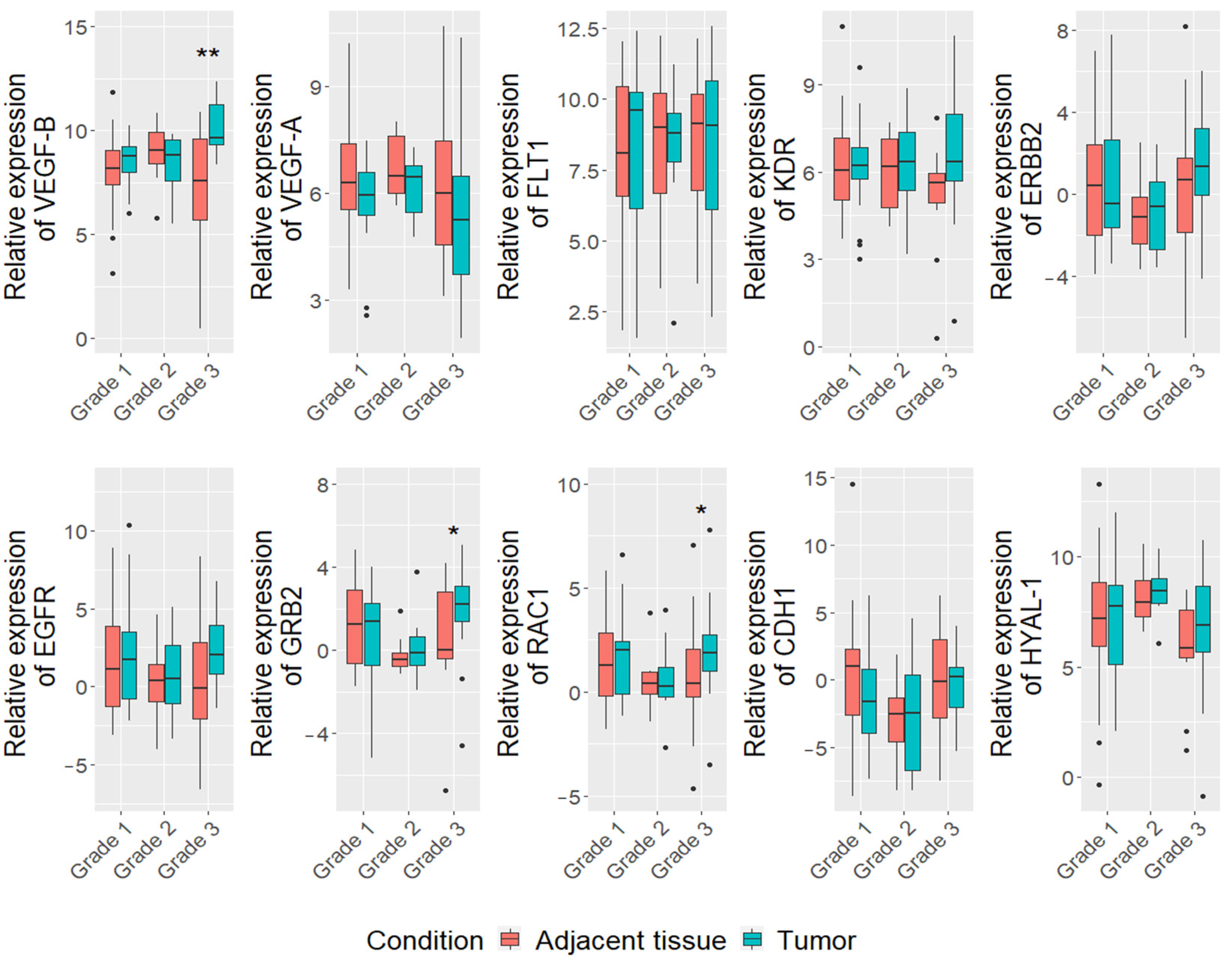Vetsci 08 00212 g002 Vetsci 08 00212 g002