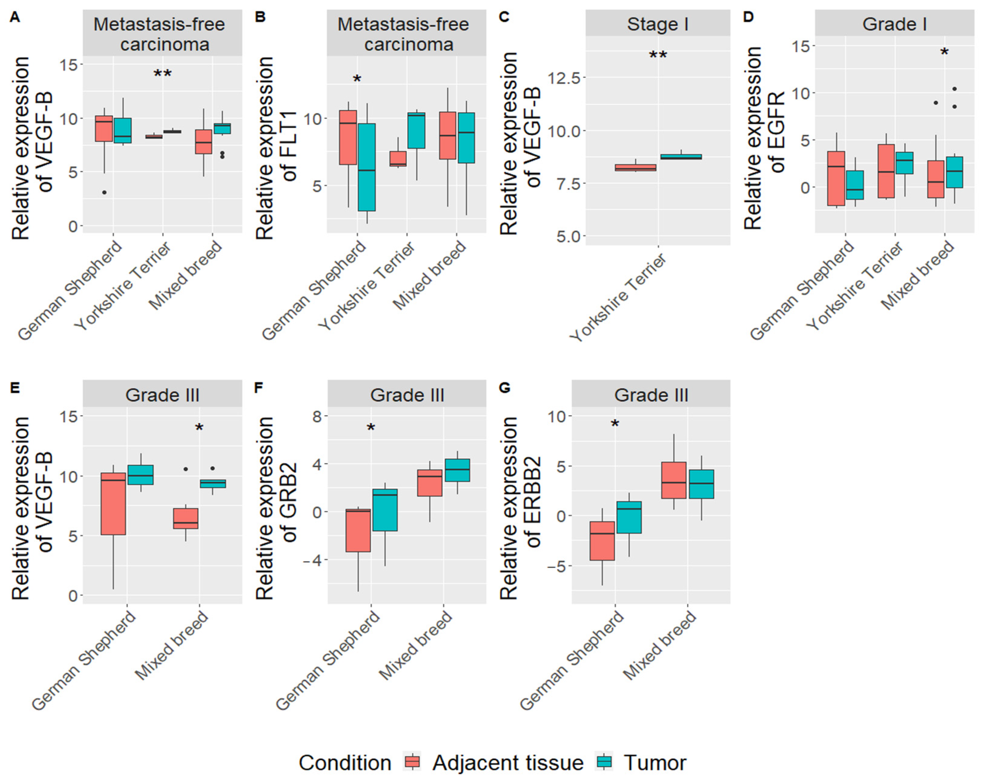 Vetsci 08 00212 g003 Vetsci 08 00212 g003