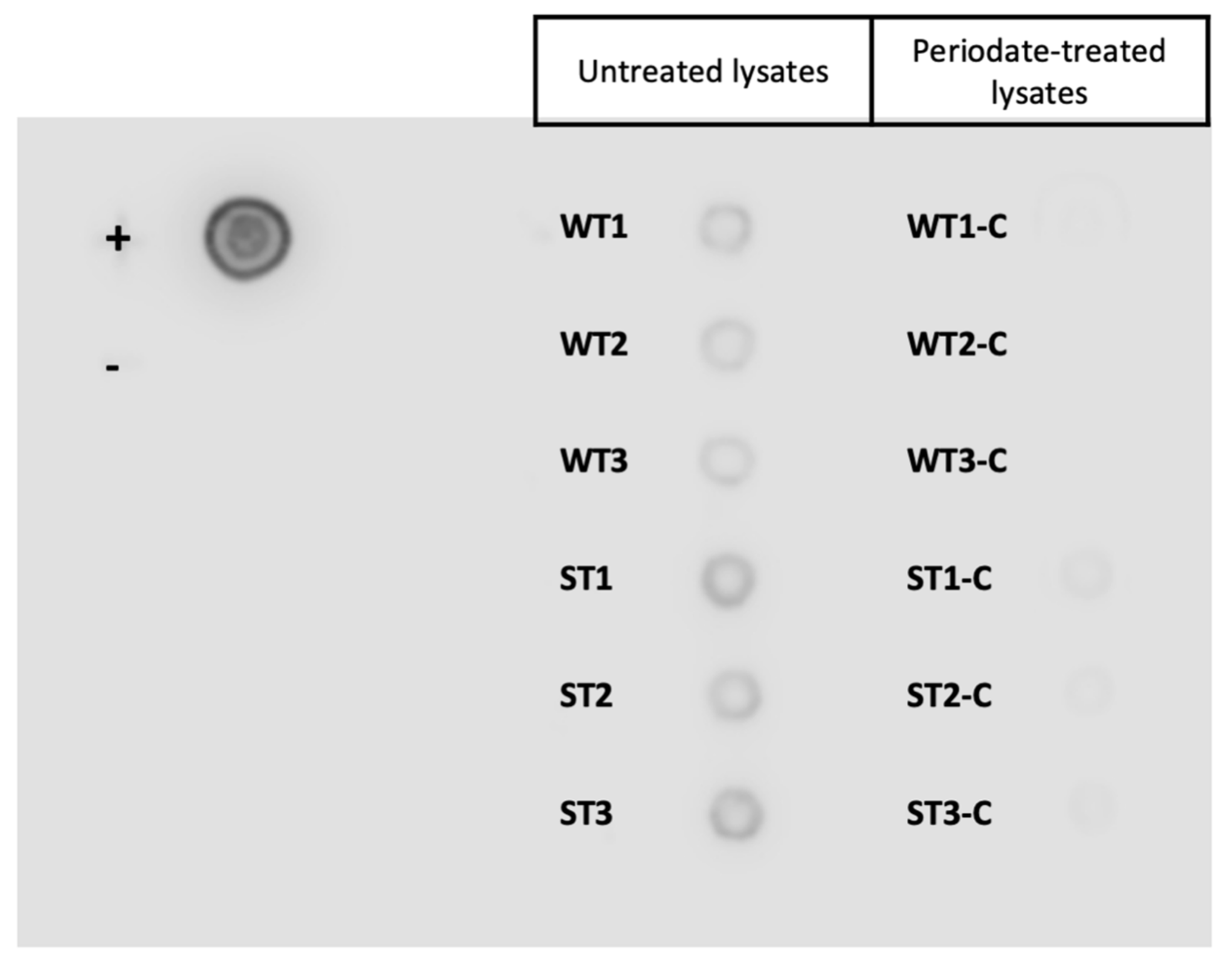 Vetsci 08 00216 g002 550