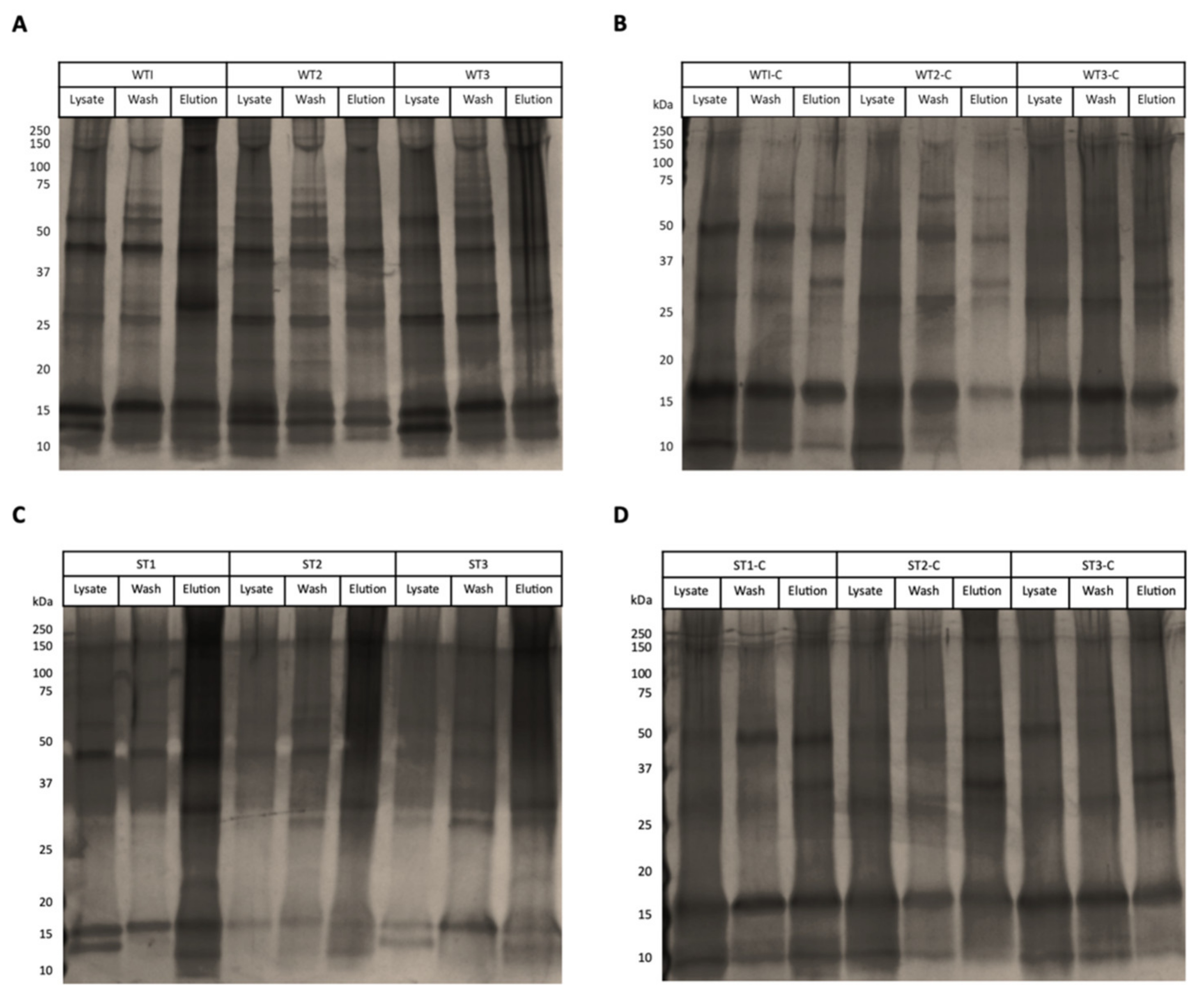 Vetsci 08 00216 g003 550