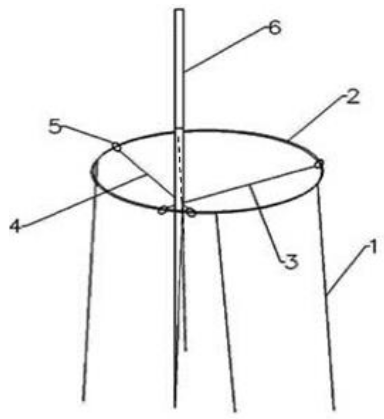 Vetsci 08 00217 g001 550