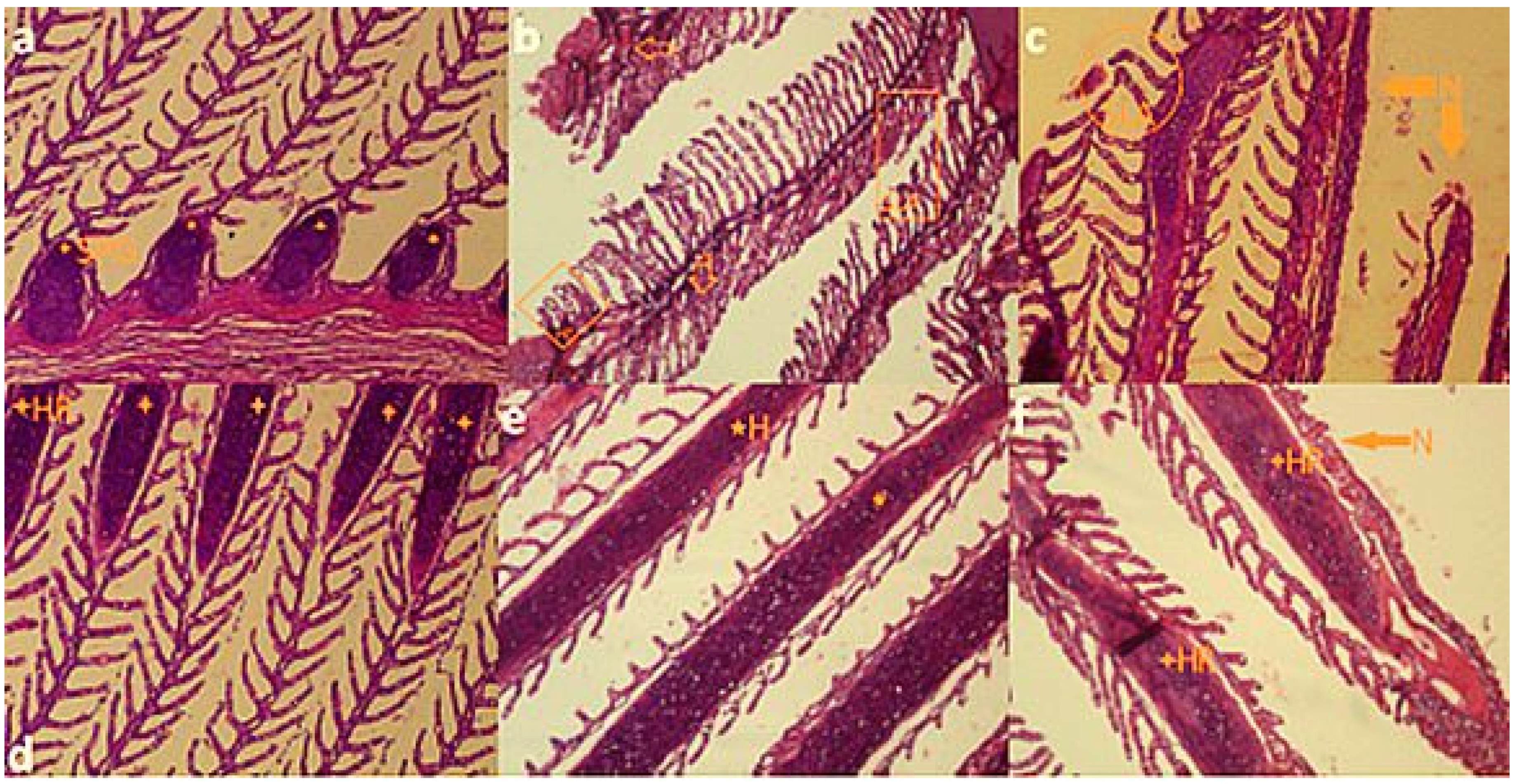 Vetsci 08 00218 g002