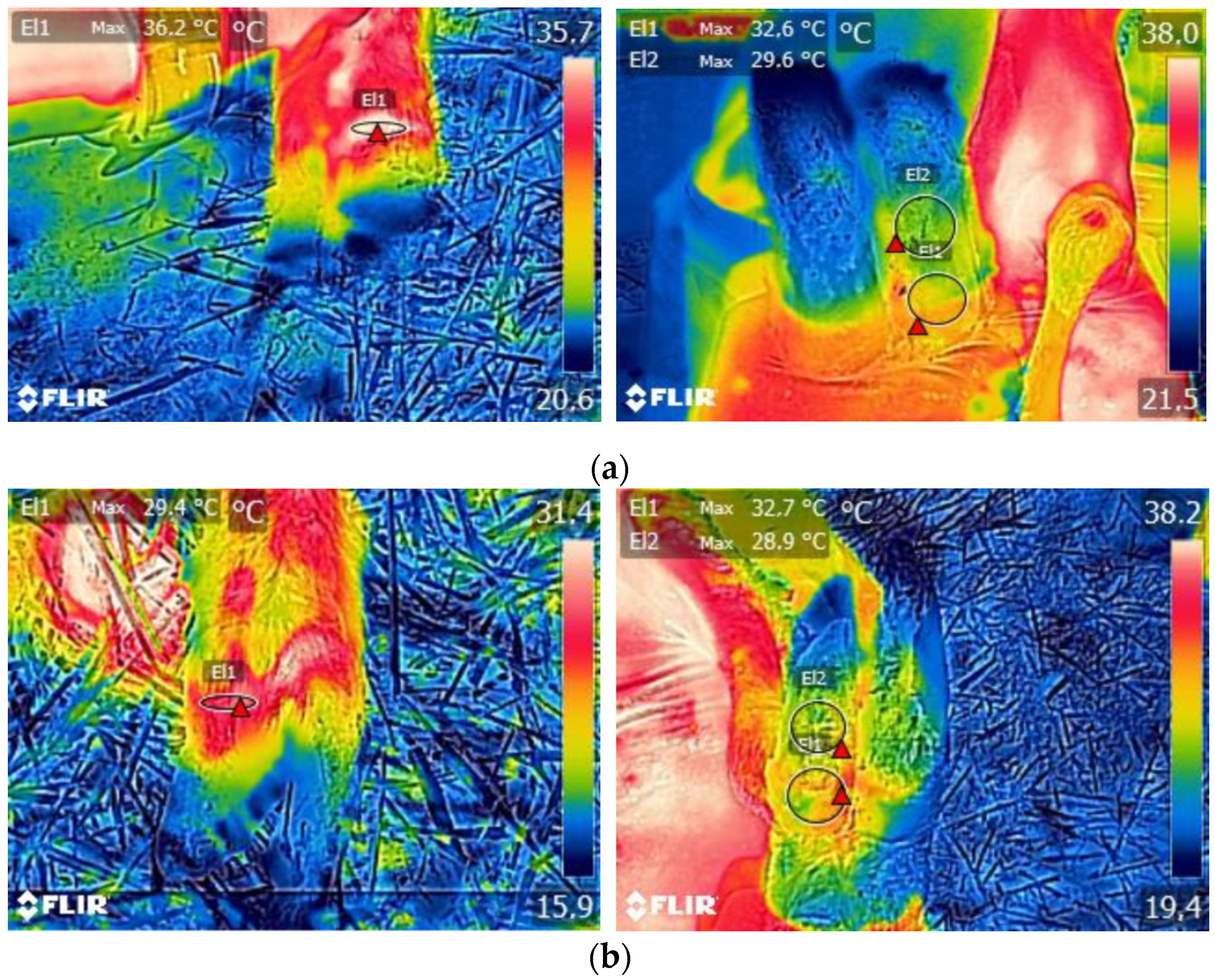 Vetsci 08 00219 g003 Vetsci 08 00219 g003
