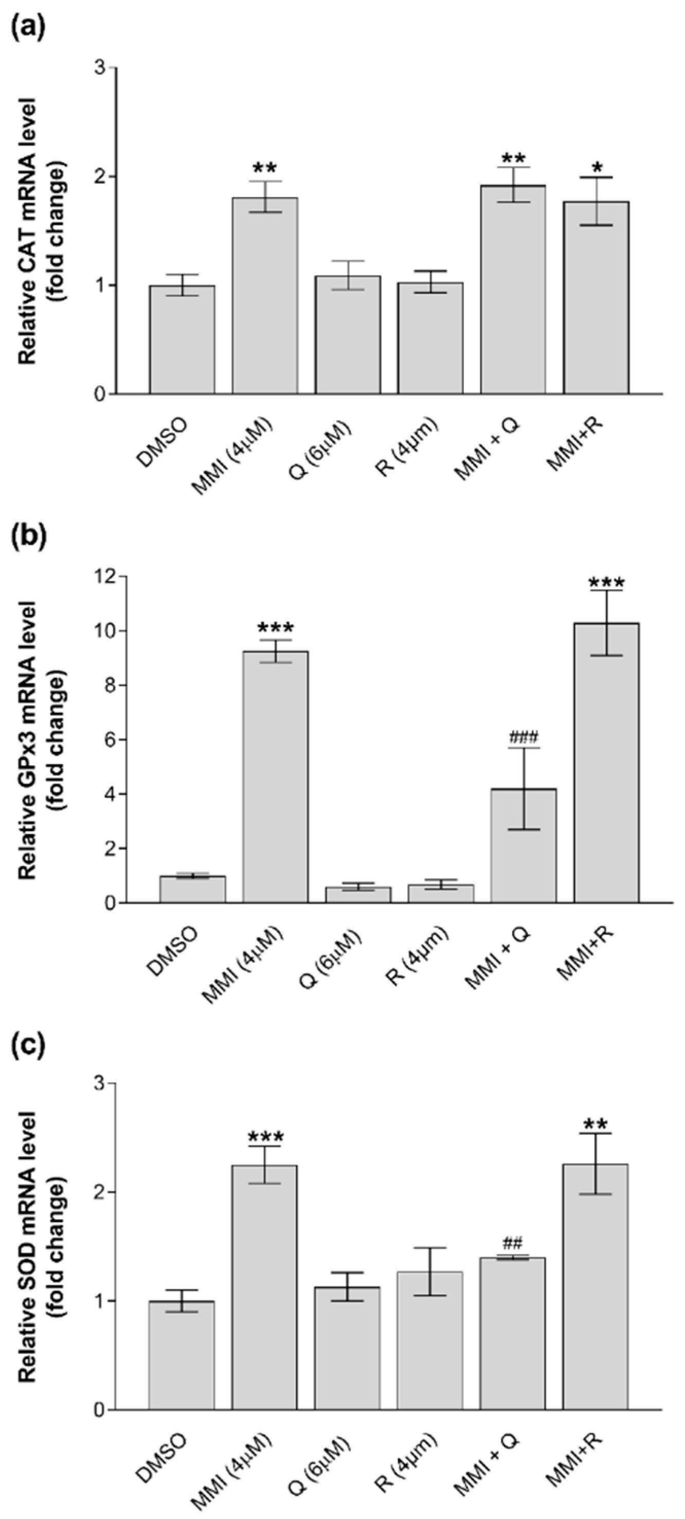 Vetsci 08 00220 g004 550