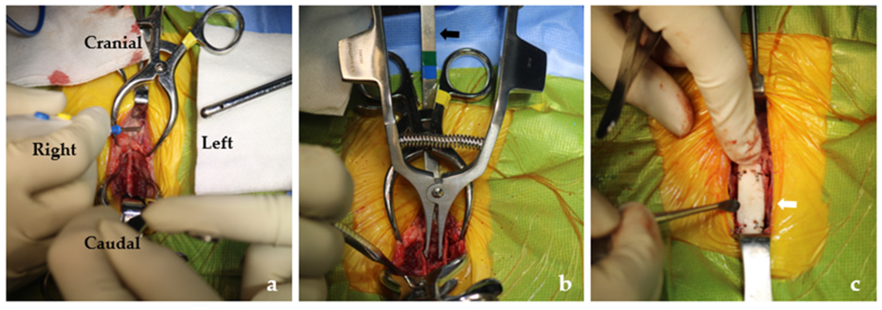 Vetsci 08 00225 g002