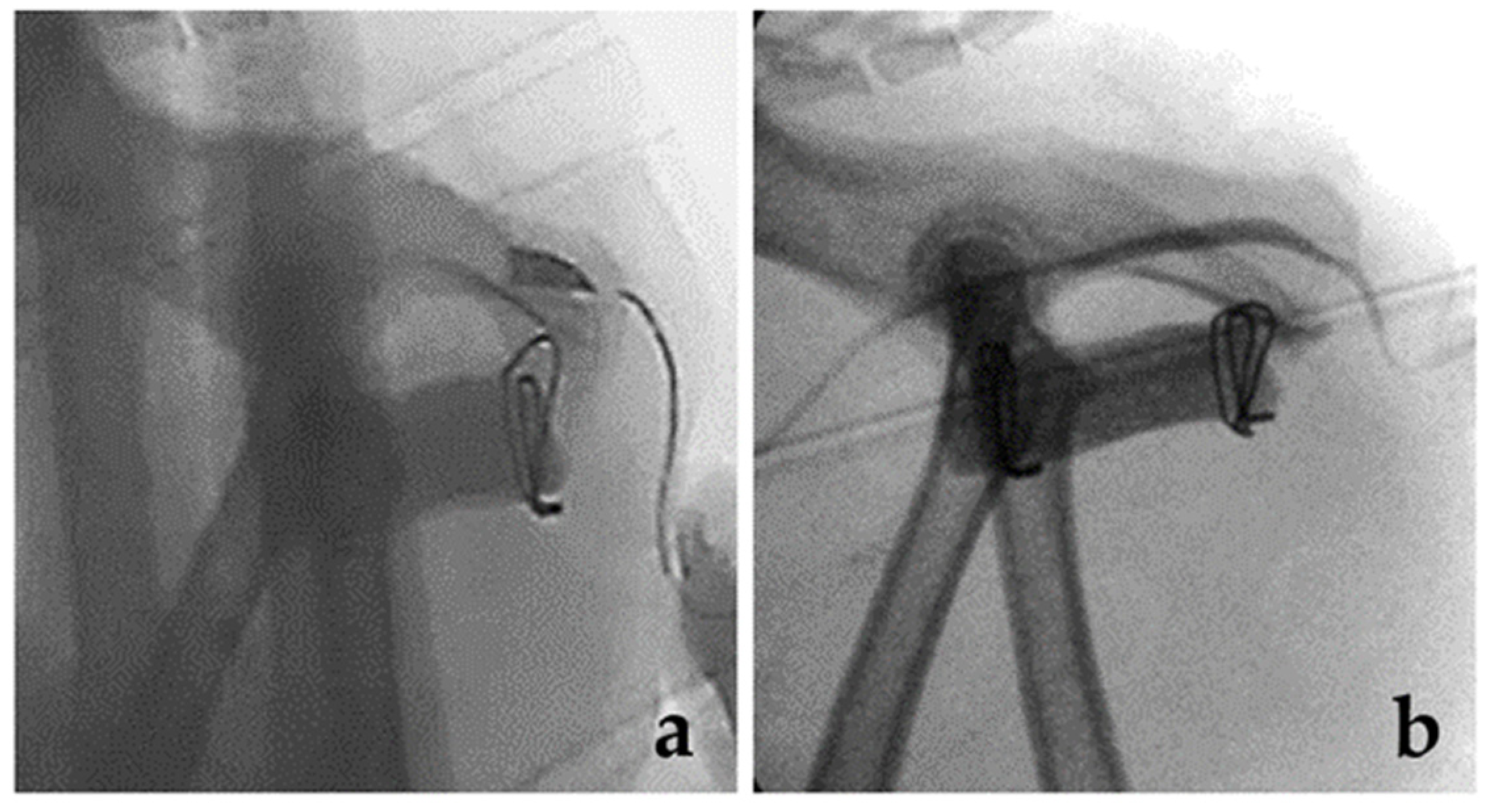 Vetsci 08 00225 g003