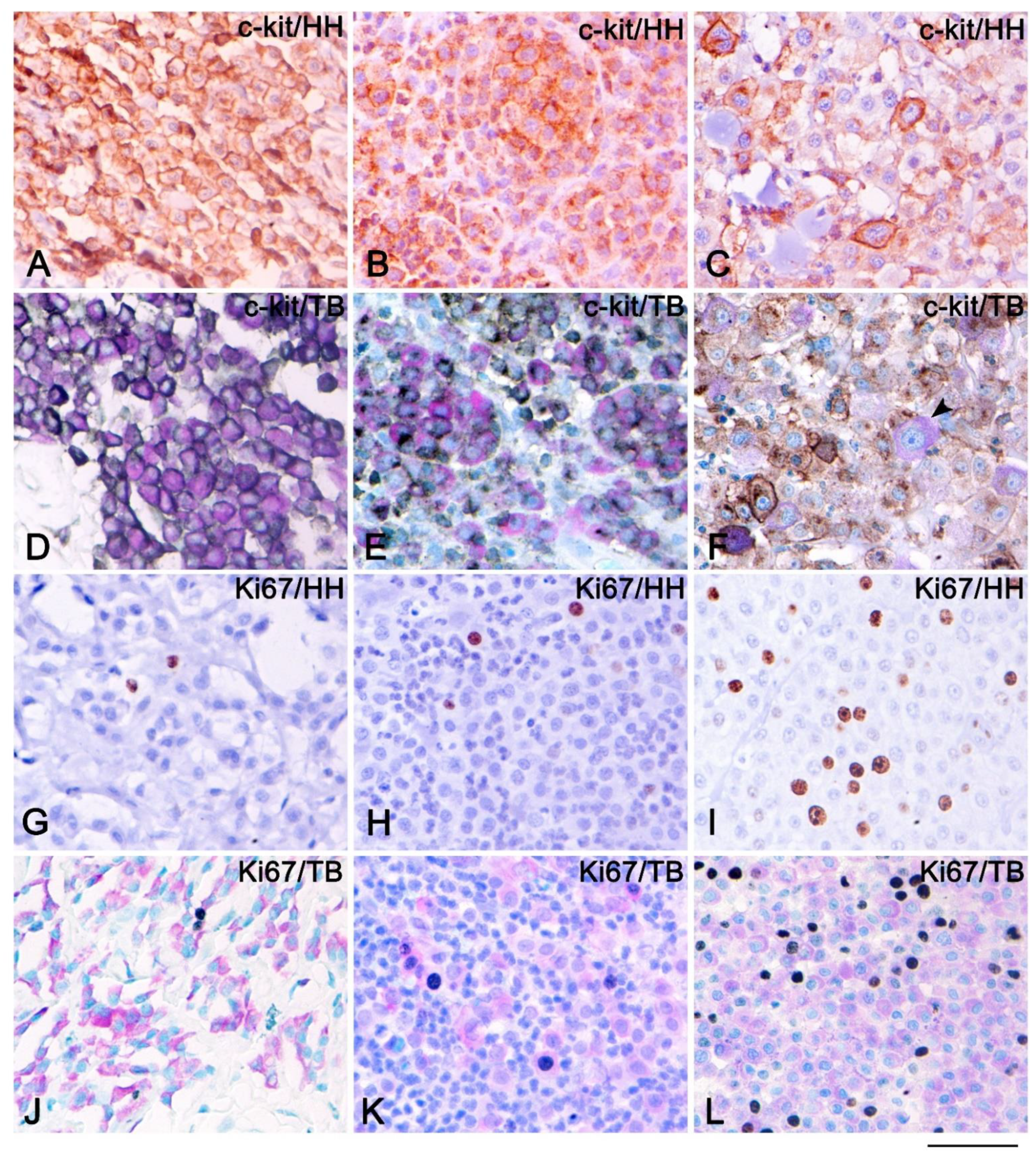 Vetsci 08 00229 g003 Vetsci 08 00229 g003