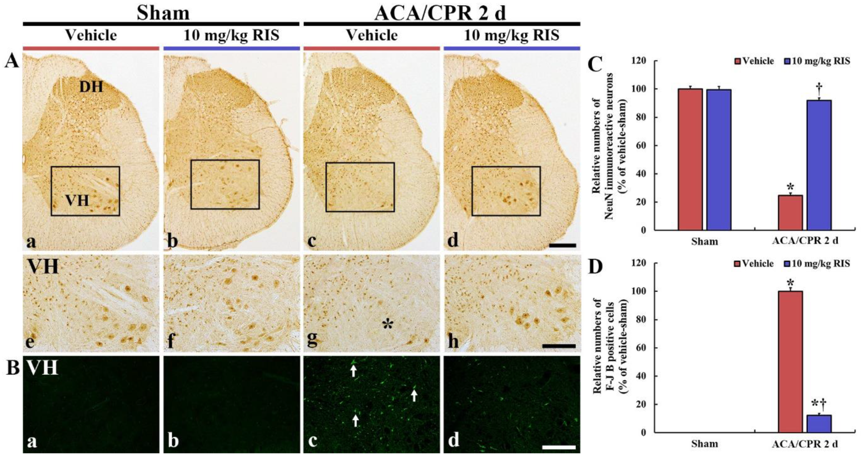 Vetsci 08 00230 g004 Vetsci 08 00230 g004
