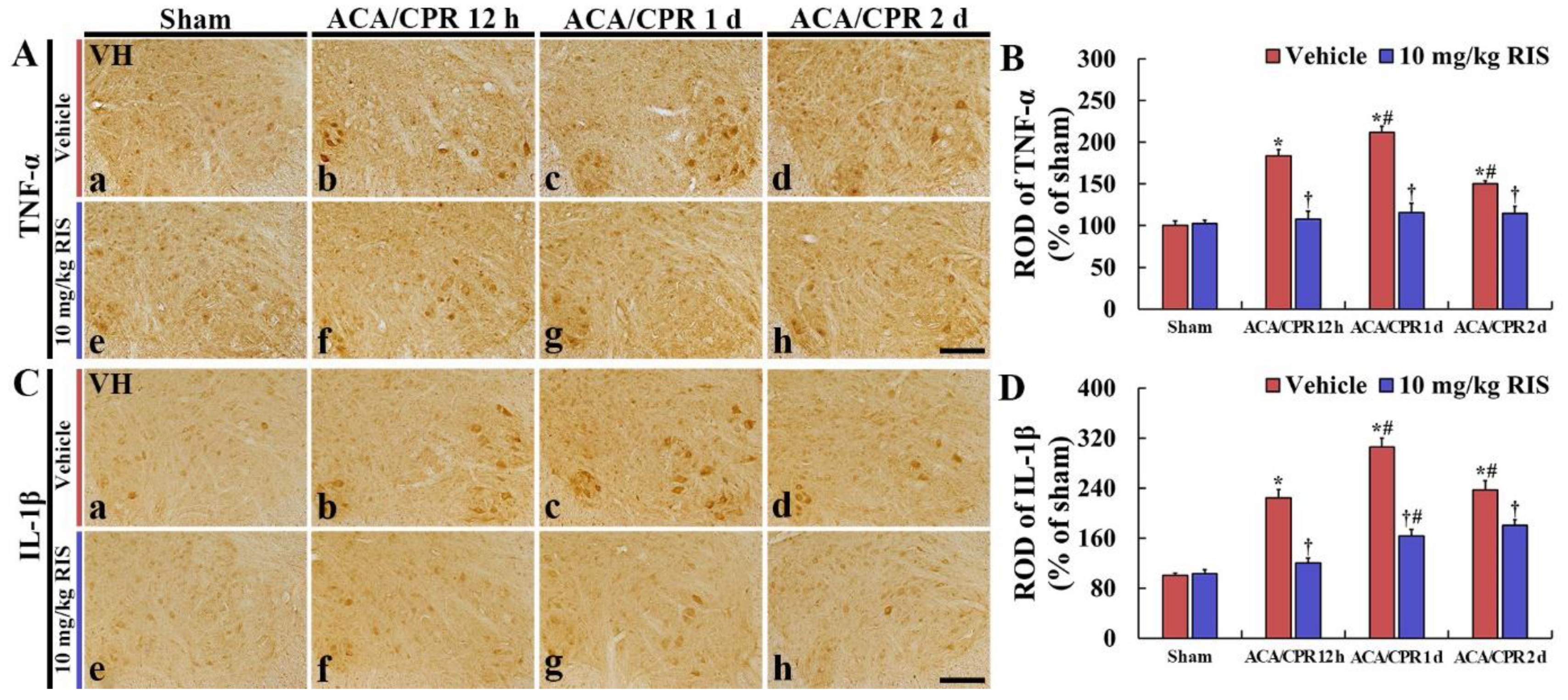 Vetsci 08 00230 g005 Vetsci 08 00230 g005