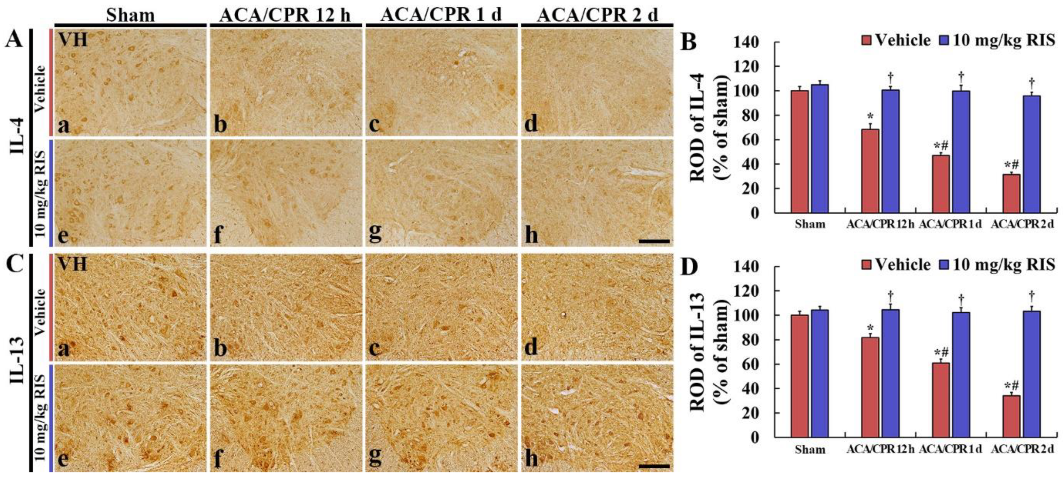 Vetsci 08 00230 g006 Vetsci 08 00230 g006