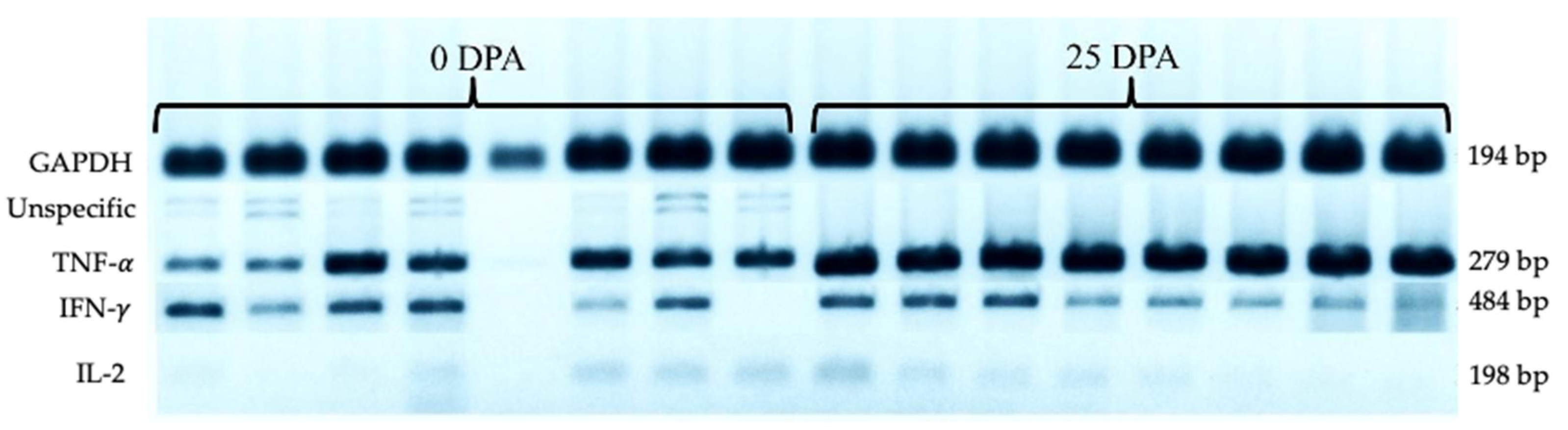 Vetsci 08 00231 g002