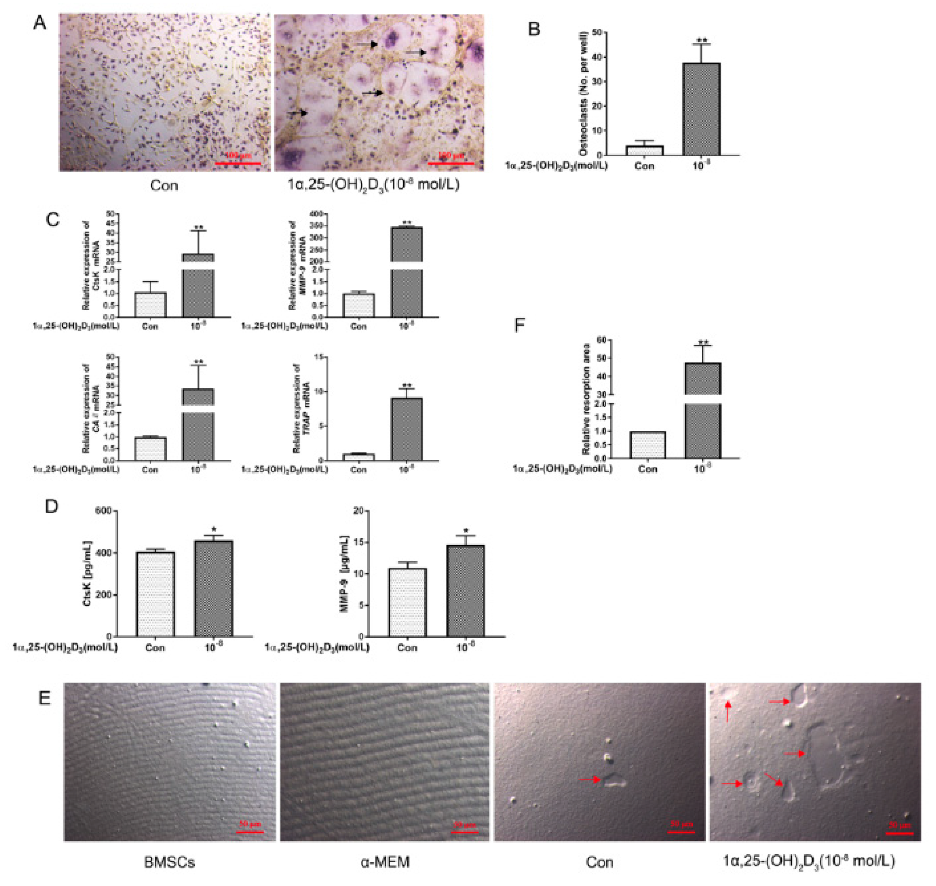 Vetsci 08 00234 g001 550