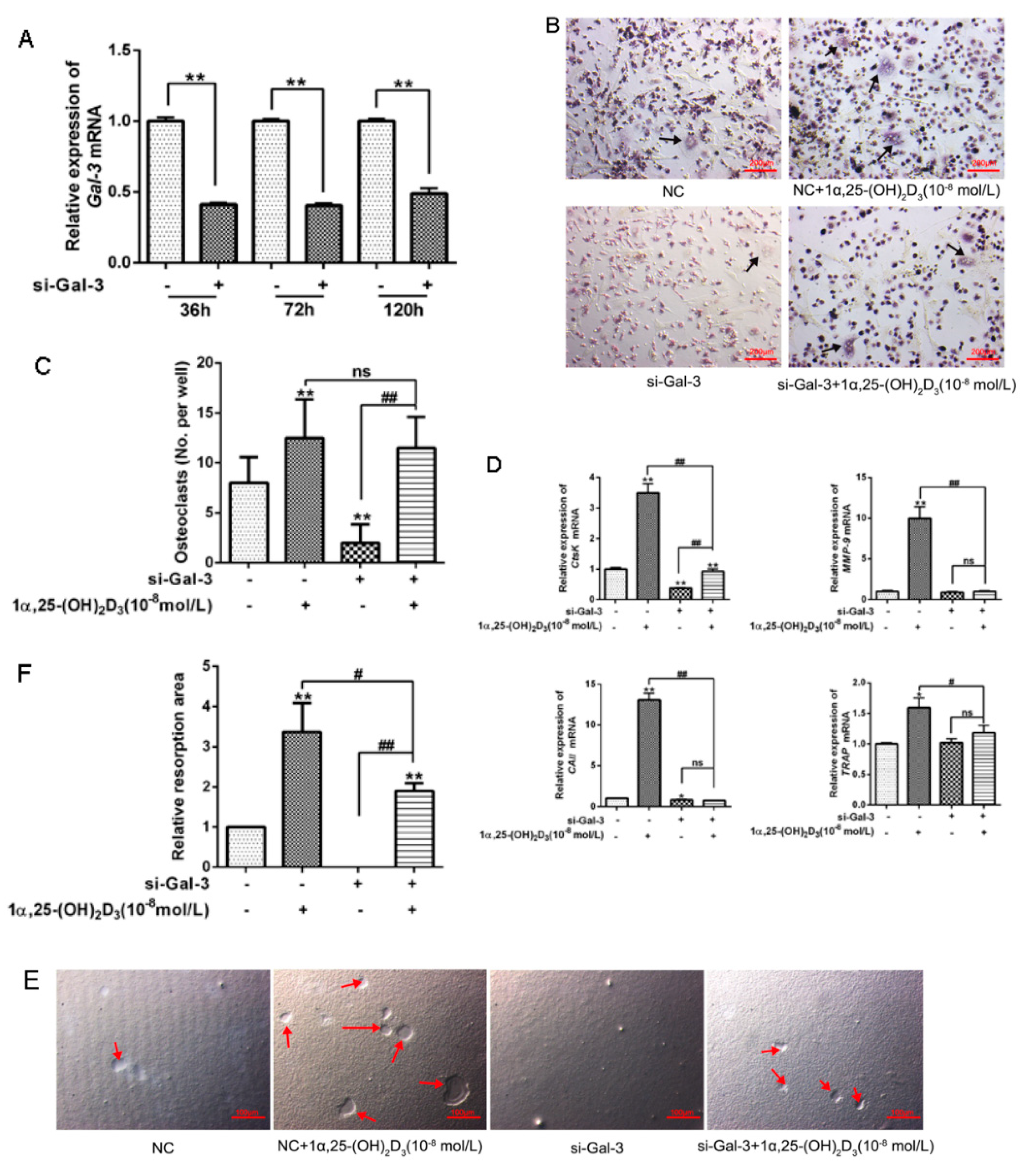 Vetsci 08 00234 g004 550