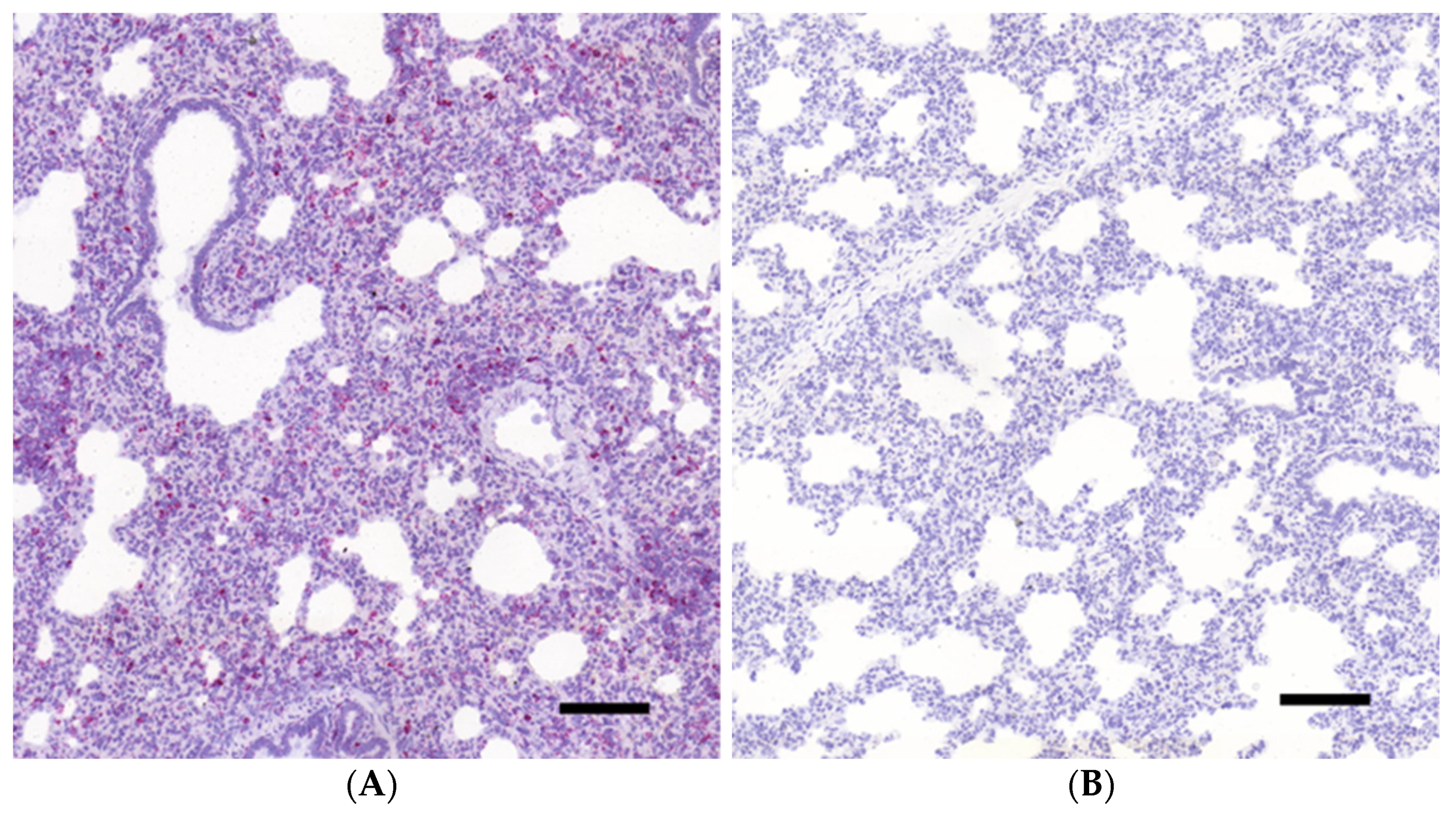 Vetsci 08 00235 g001
