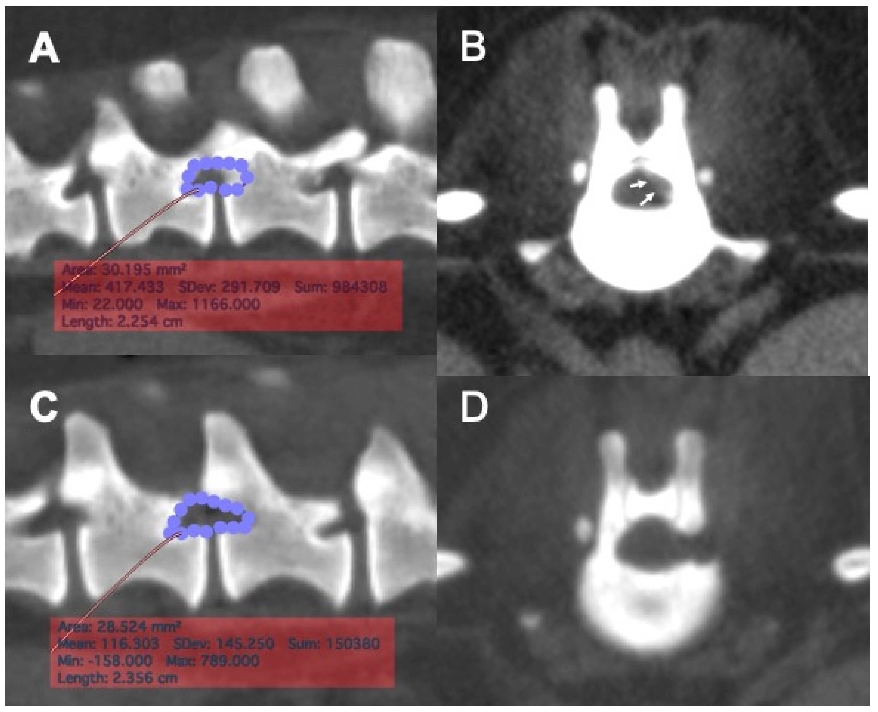 Vetsci 08 00241 g002 550