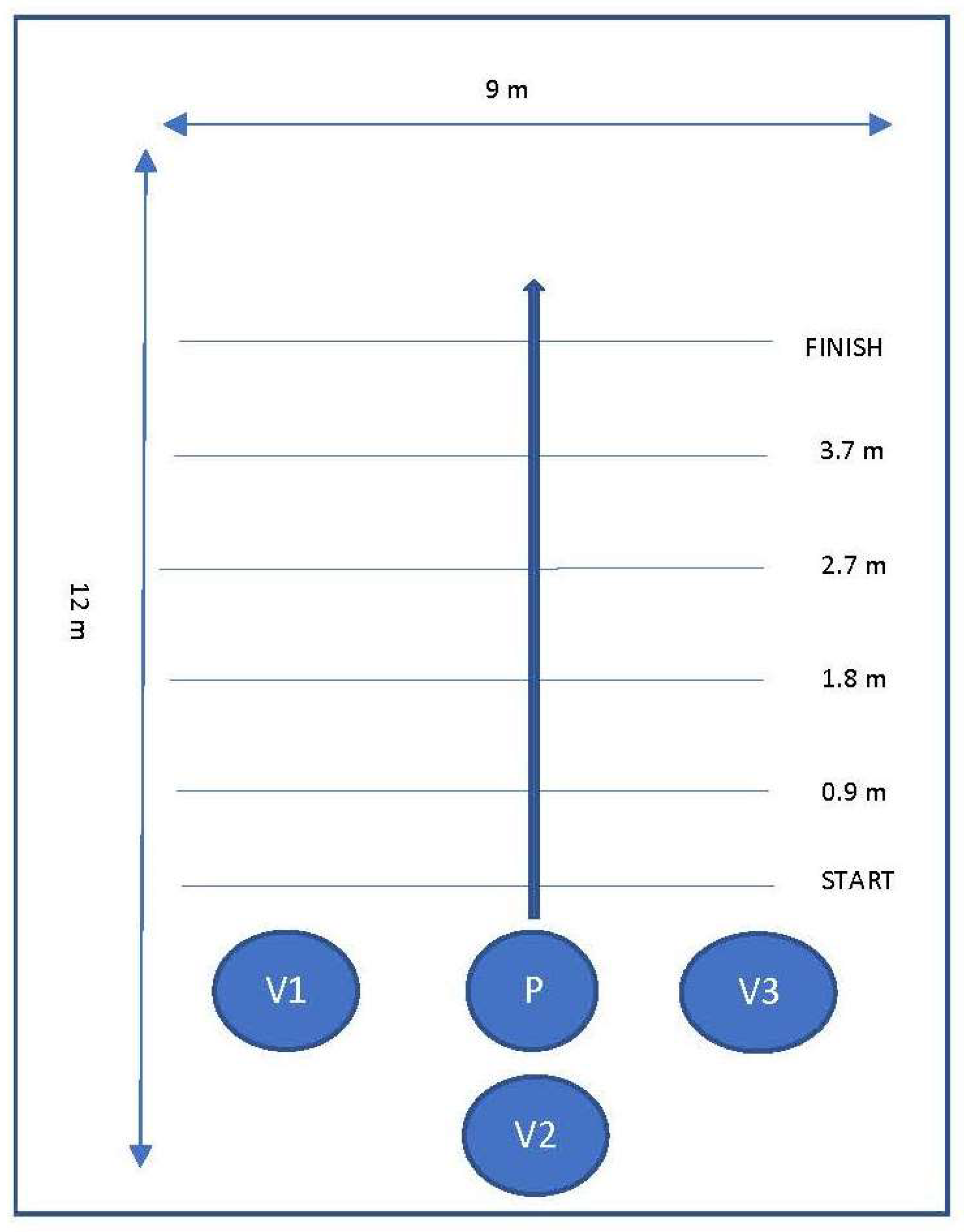 Vetsci 08 00250 g002 550
