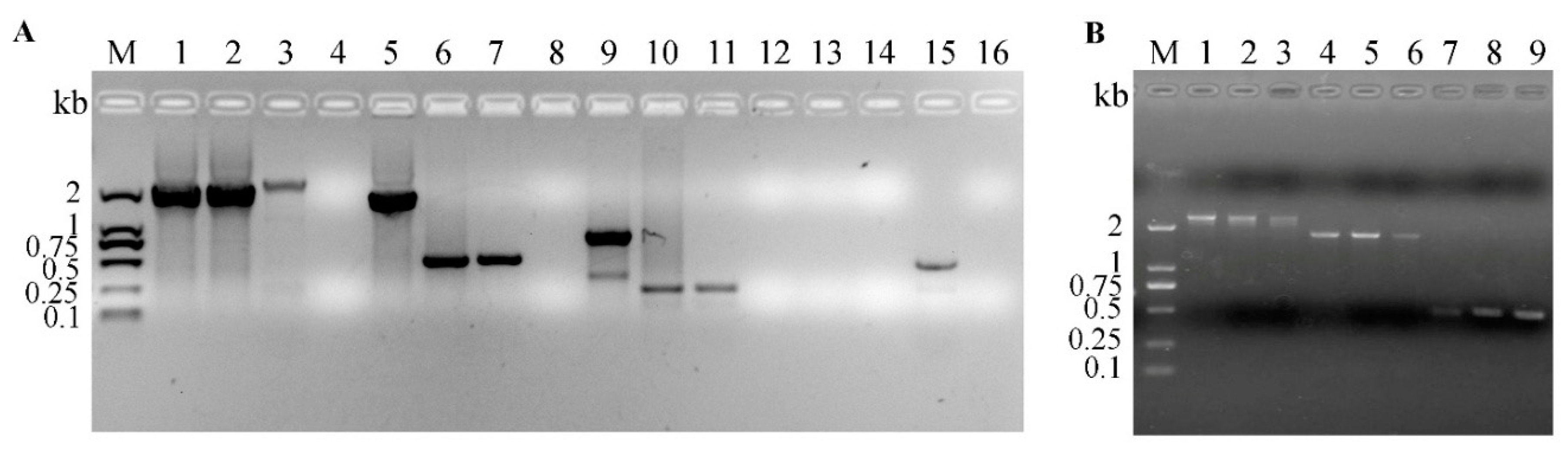 Vetsci 08 00253 g001