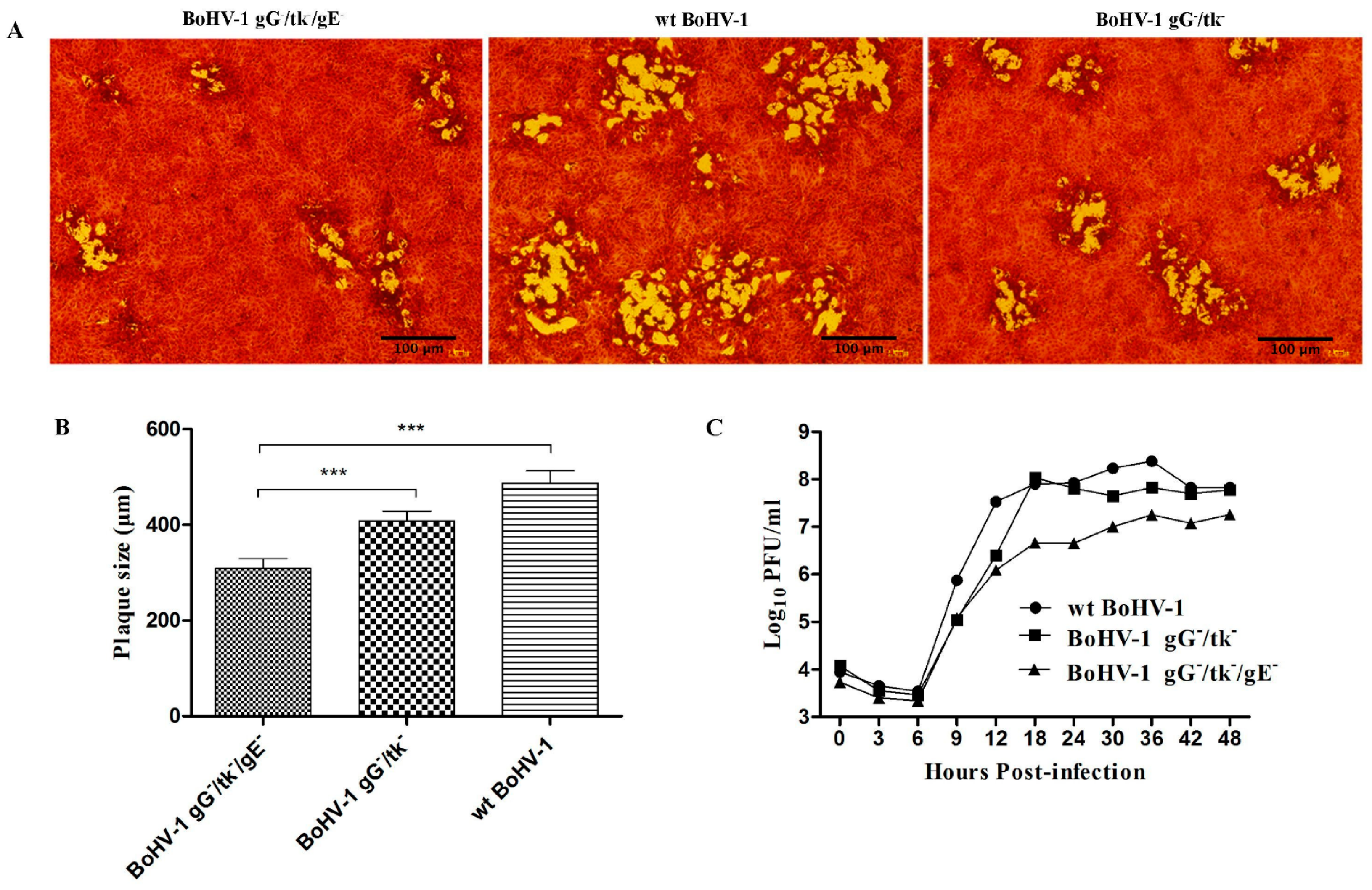 Vetsci 08 00253 g002
