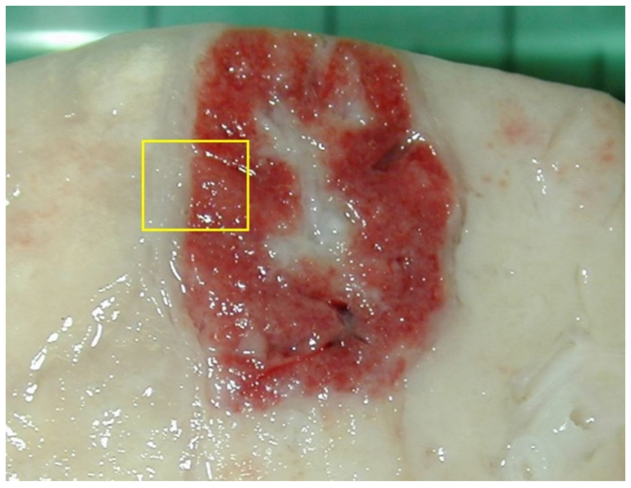 Vetsci 08 00256 g006