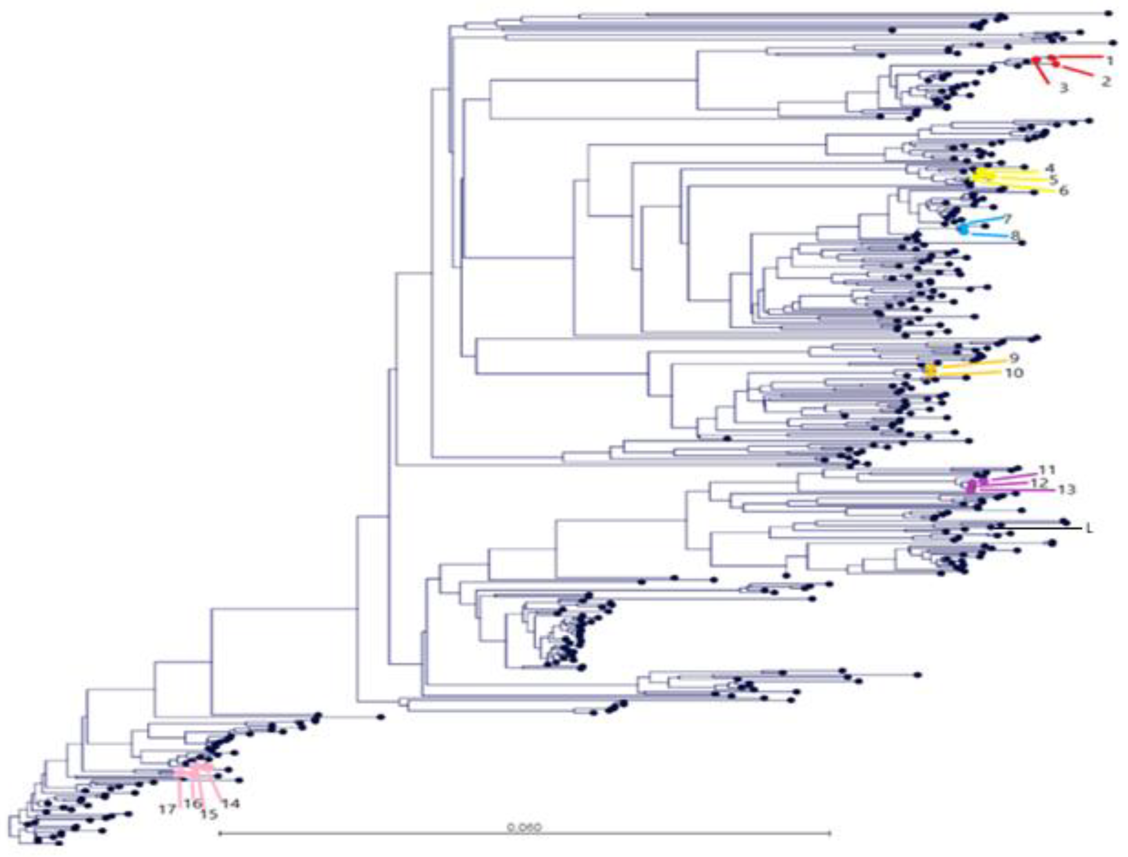 Vetsci 08 00259 g003 550