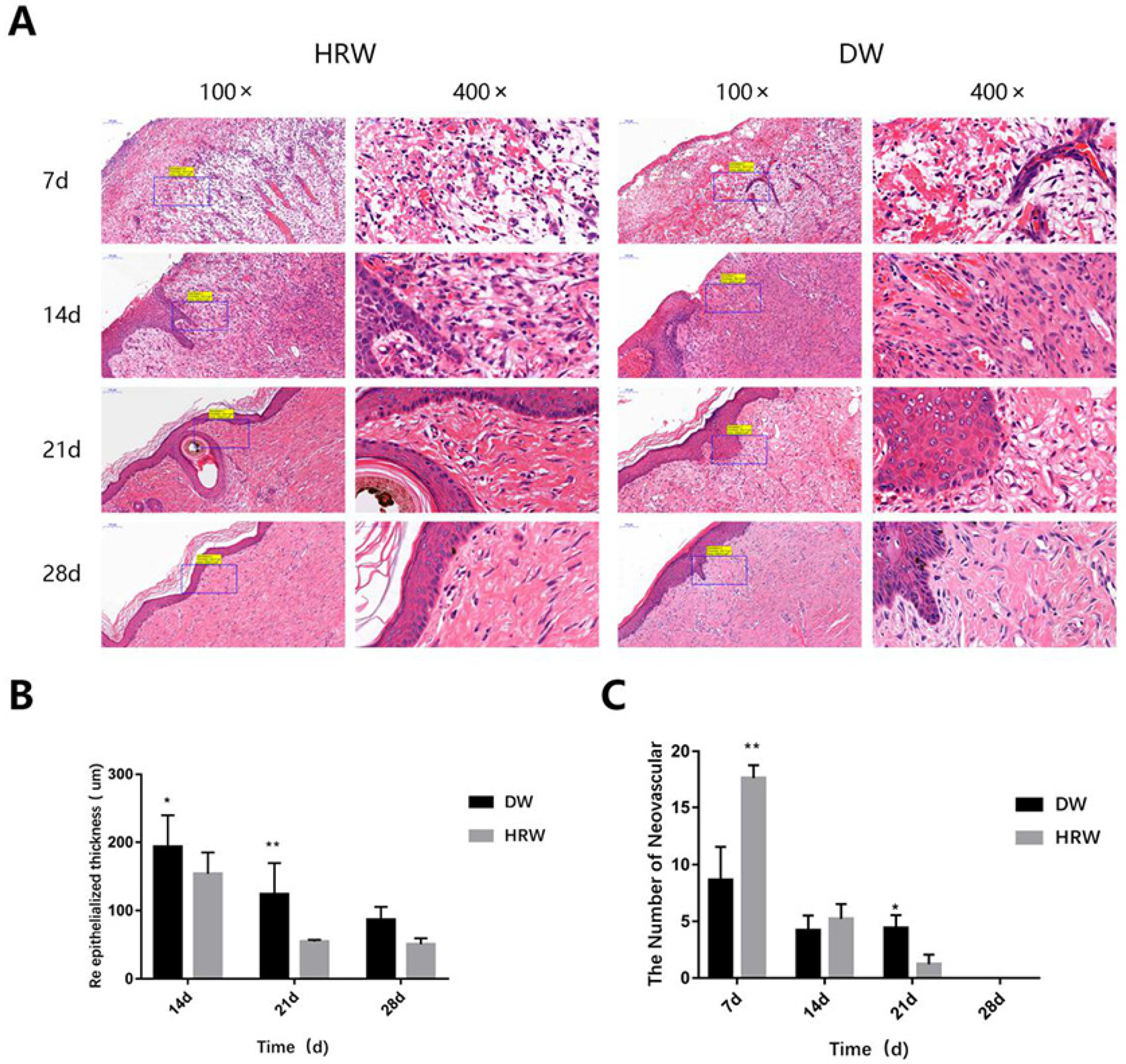 Vetsci 08 00264 g005