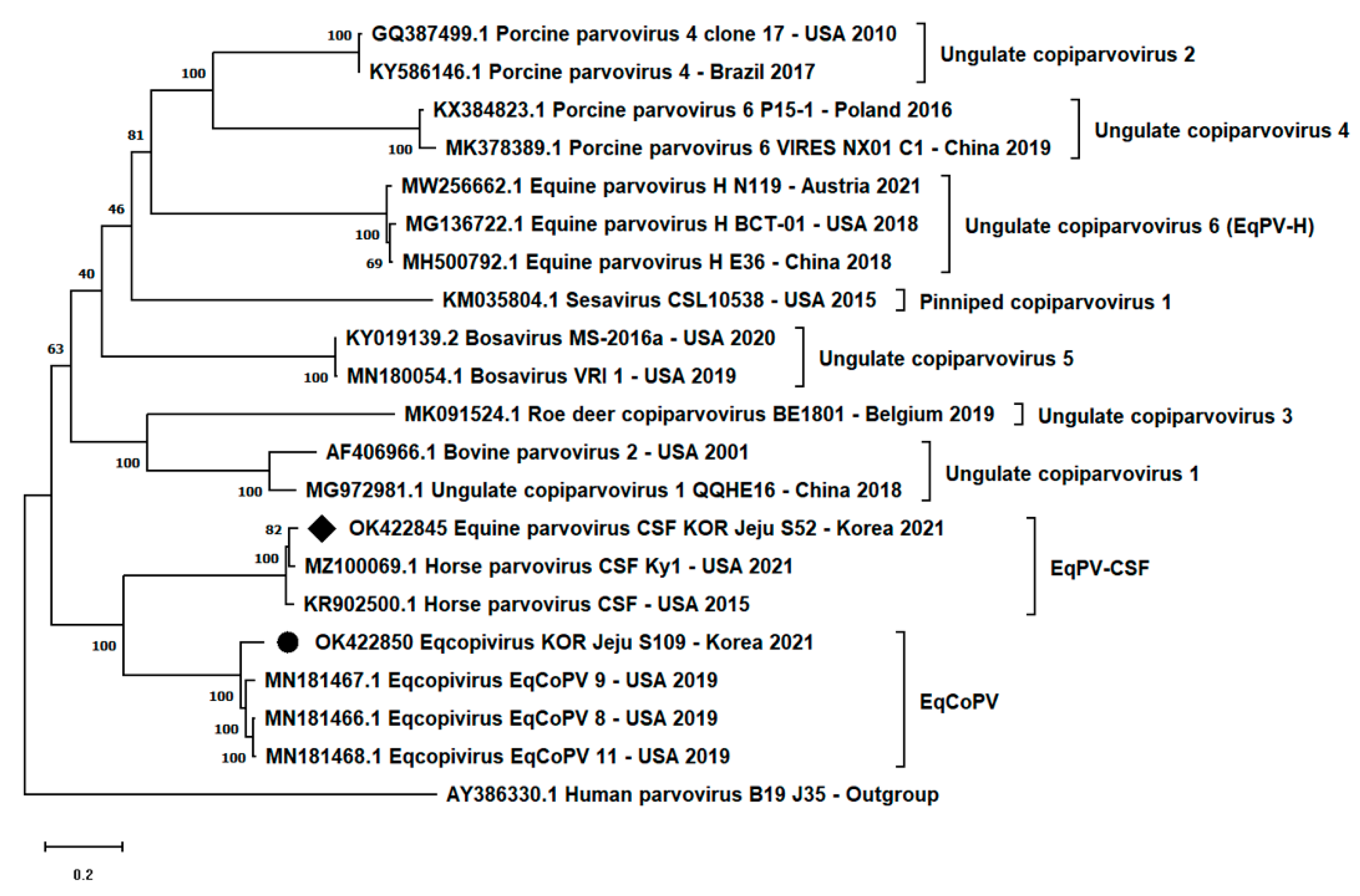 Vetsci 08 00268 g001 550