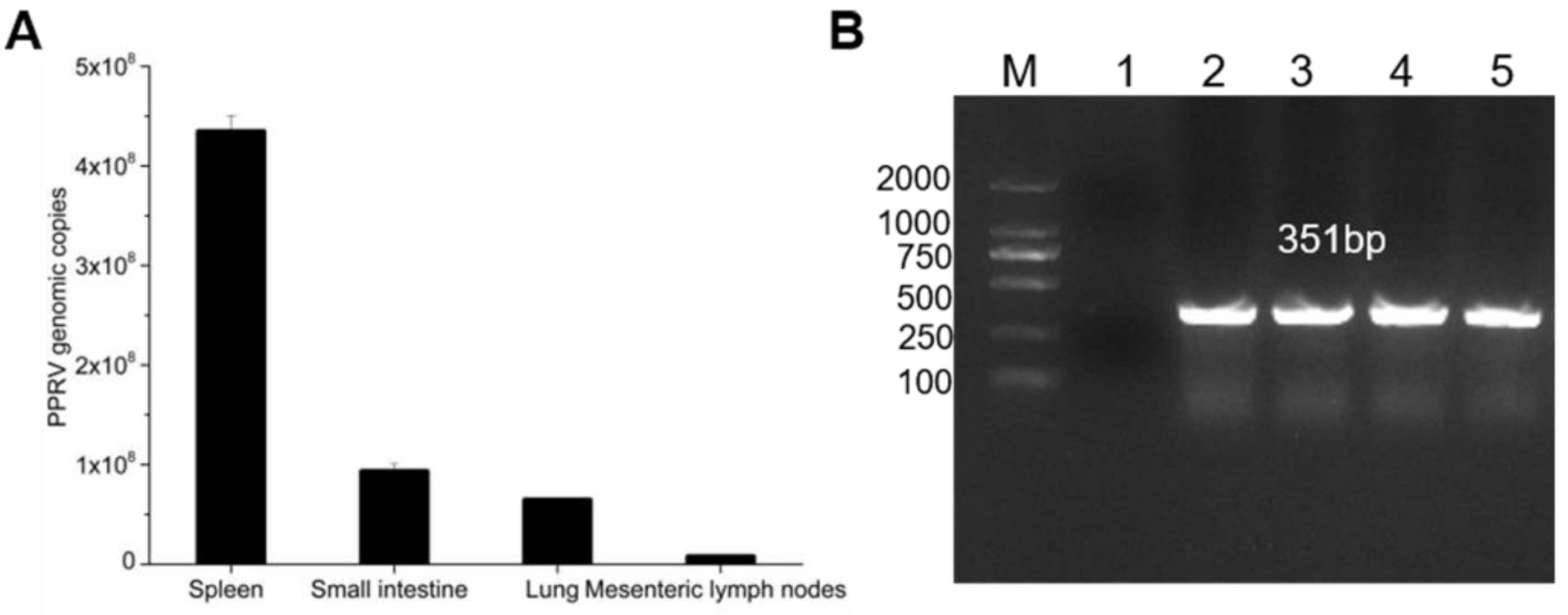 Vetsci 08 00285 g001 550
