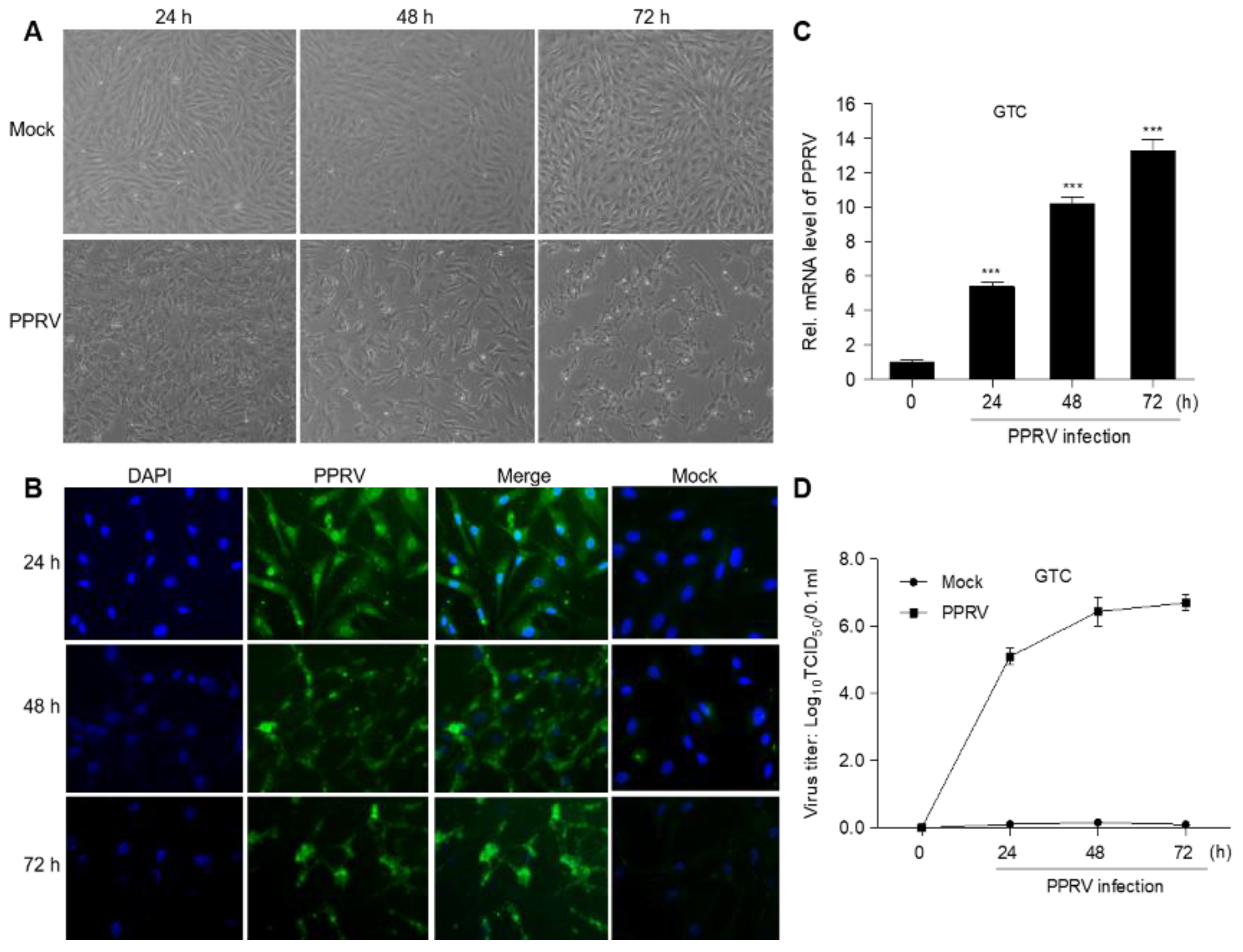 Vetsci 08 00285 g002 550