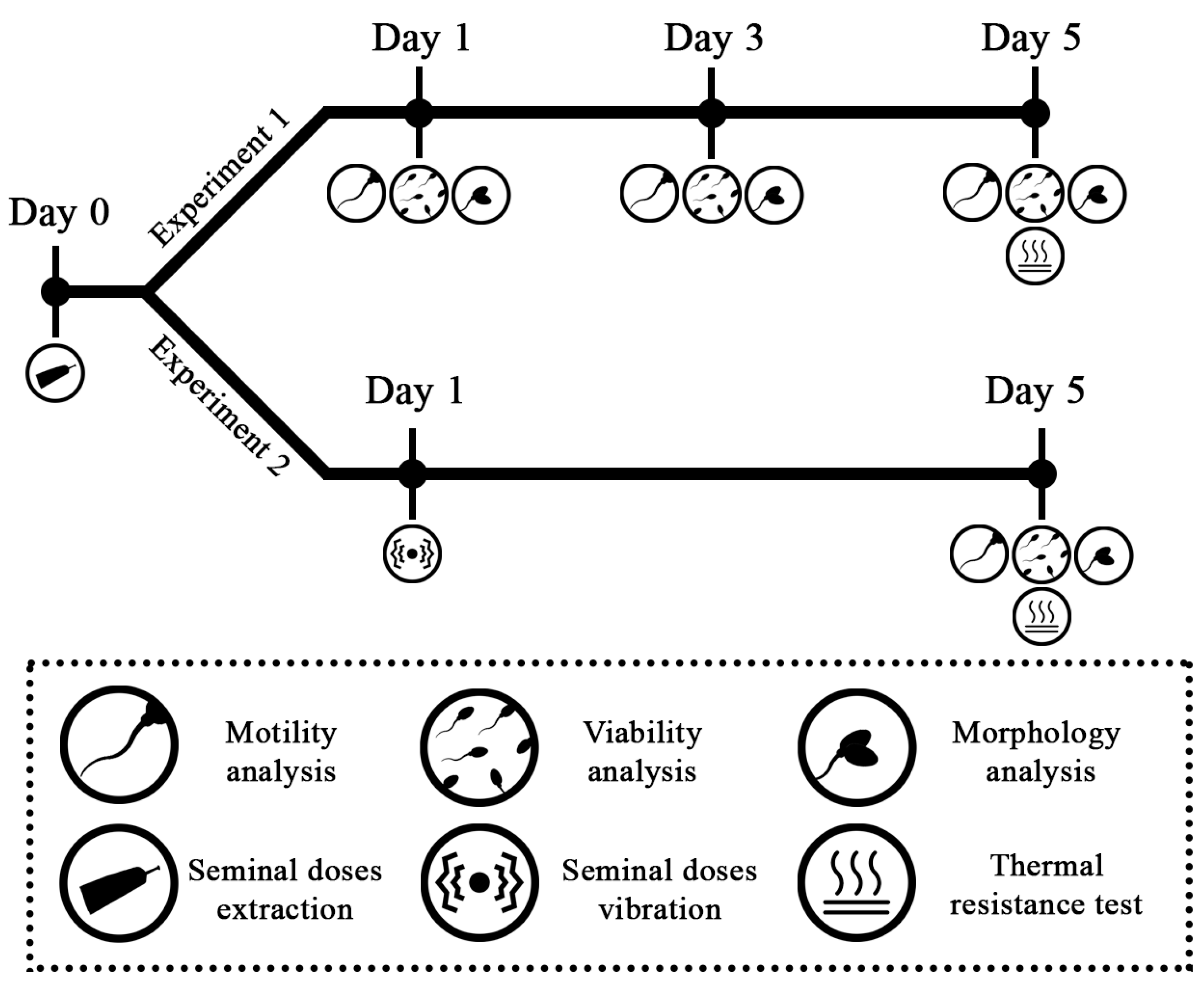 Vetsci 08 00292 g002