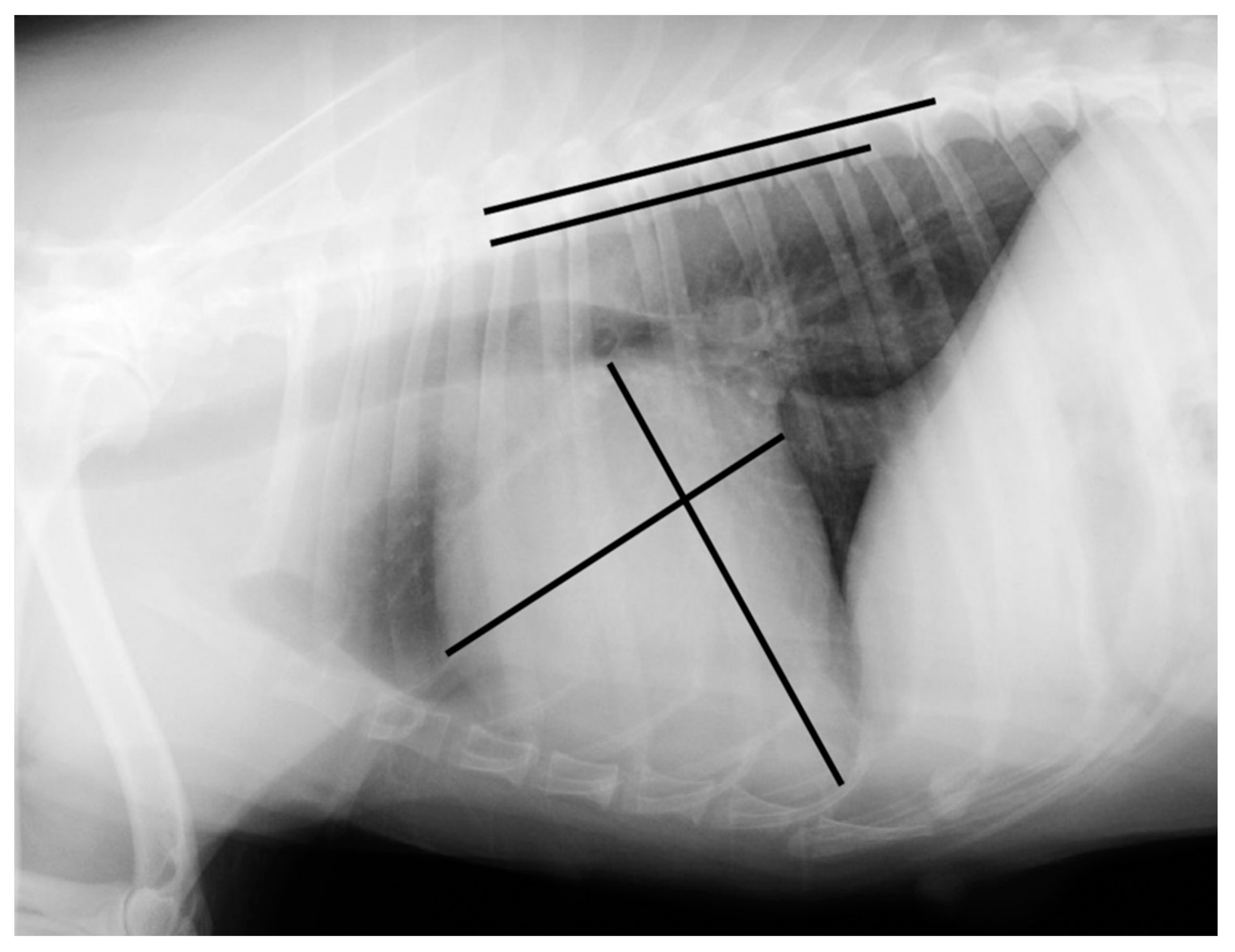 Vetsci 08 00300 g002 550