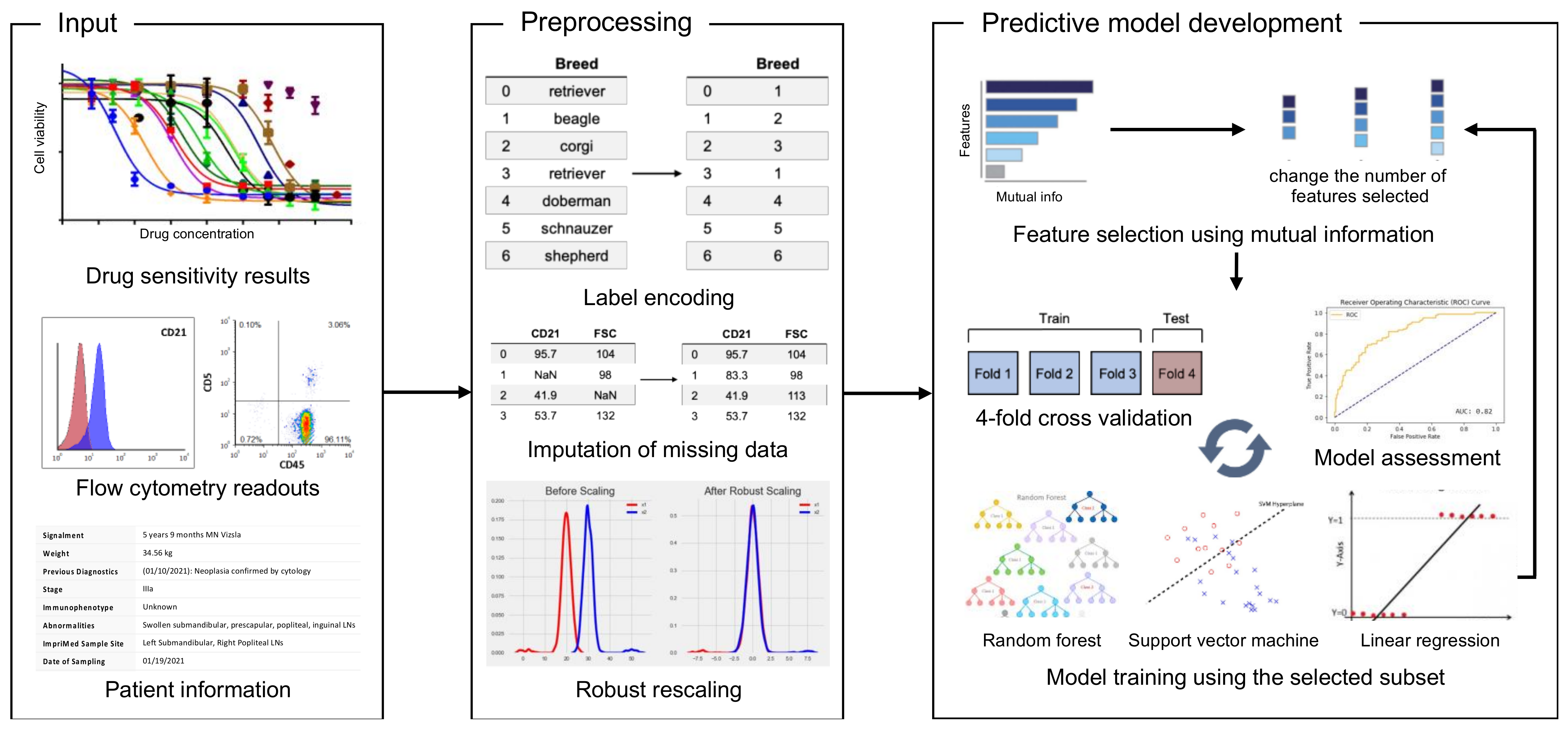 Vetsci 08 00301 g001
