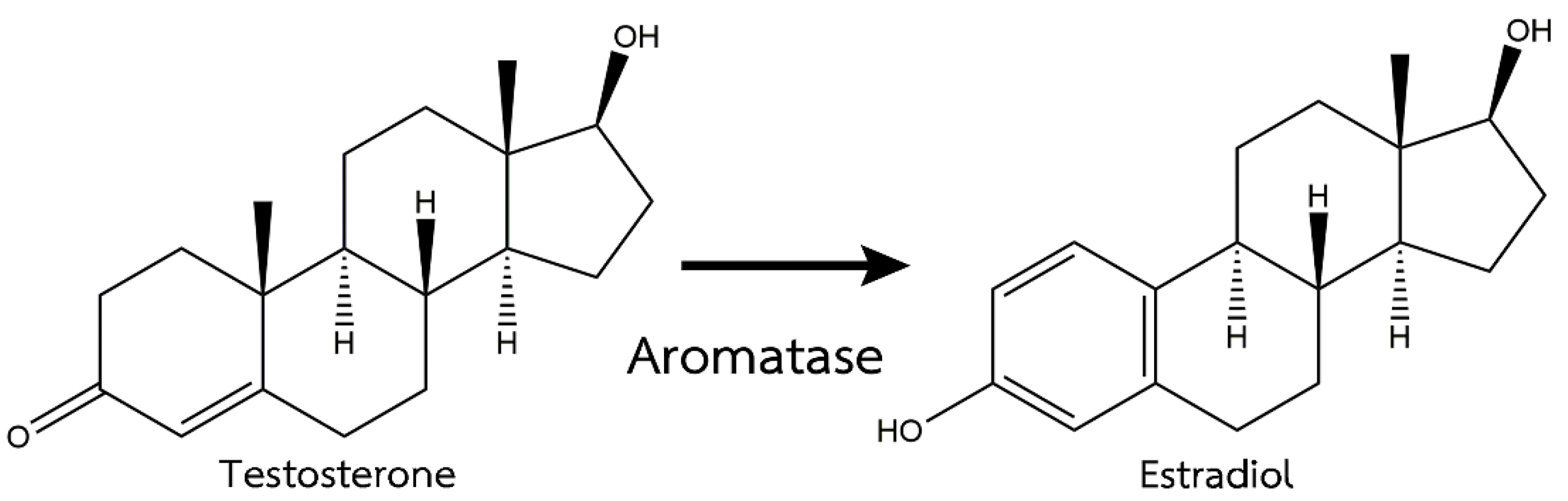 Vetsci 08 00305 g001 Vetsci 08 00305 g001