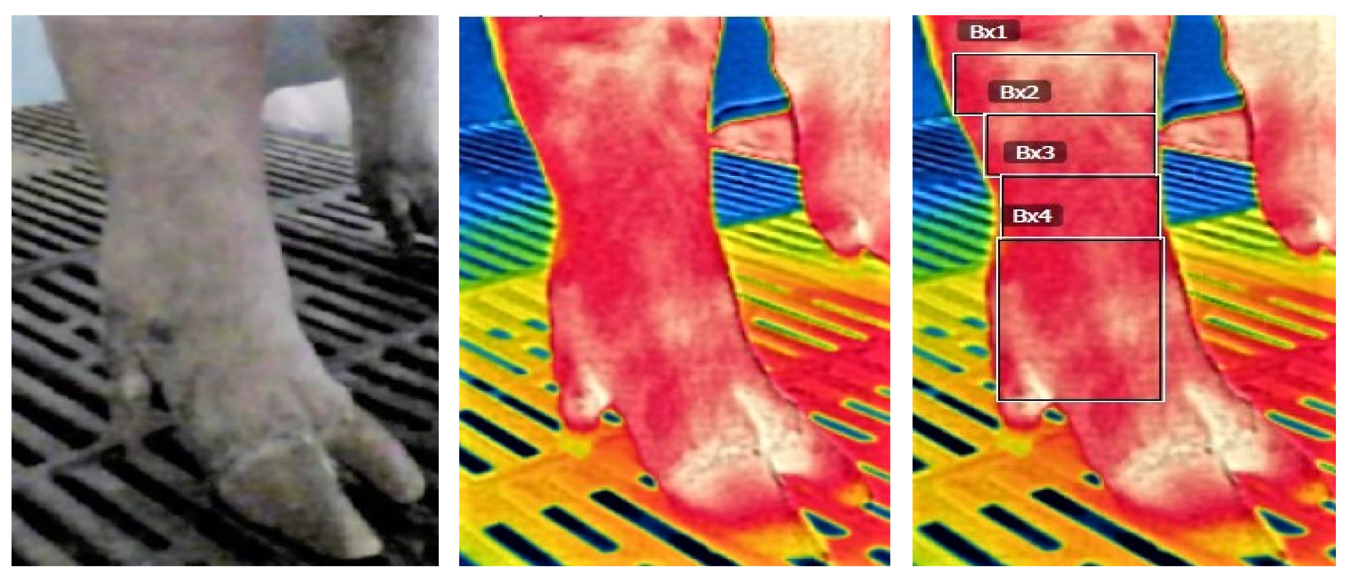 Vetsci 08 00309 g001b 550