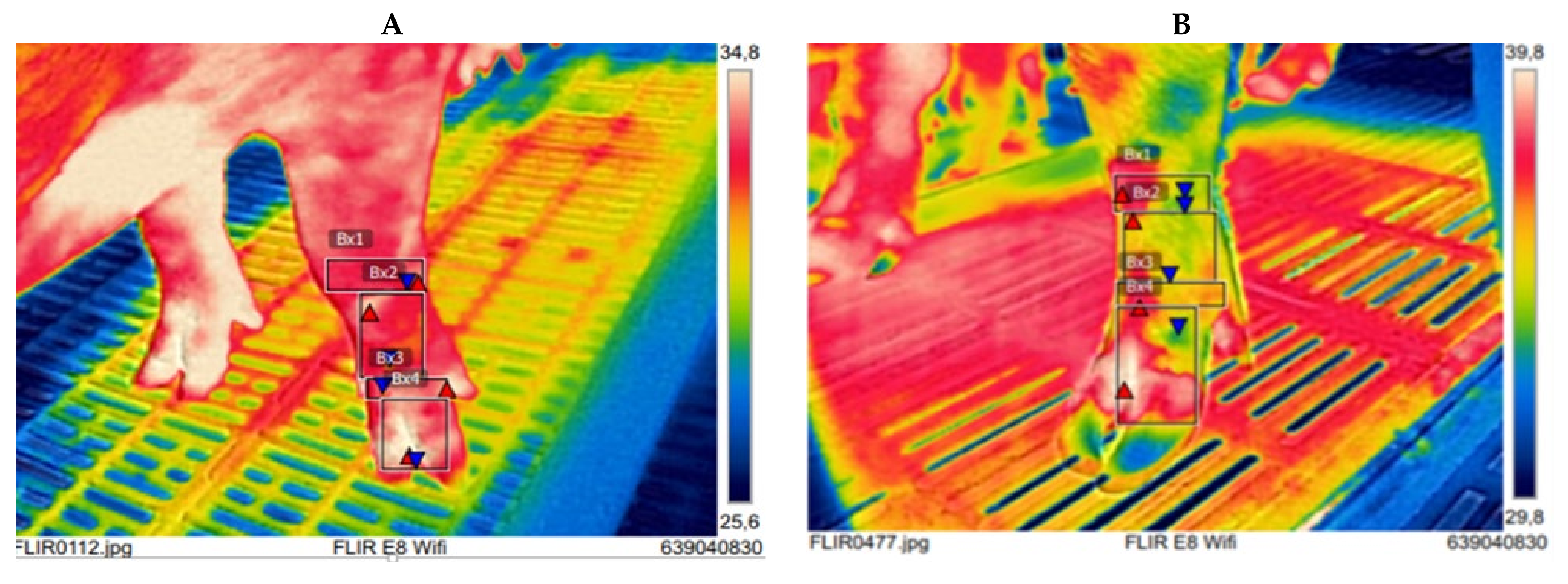 Vetsci 08 00309 g003 550