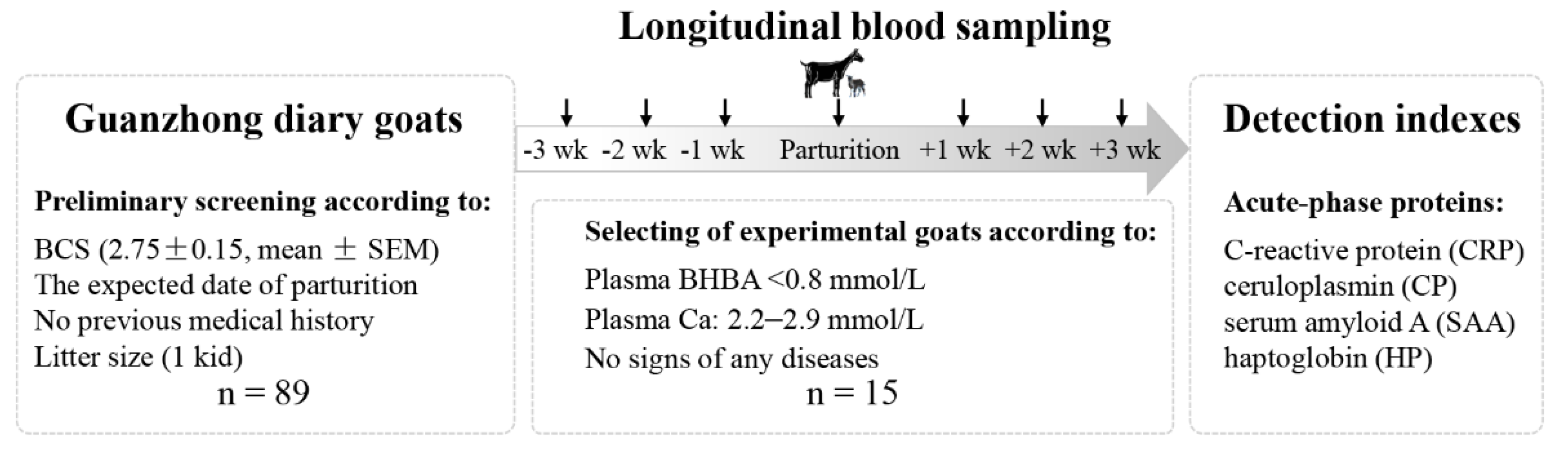 Vetsci 08 00311 g001