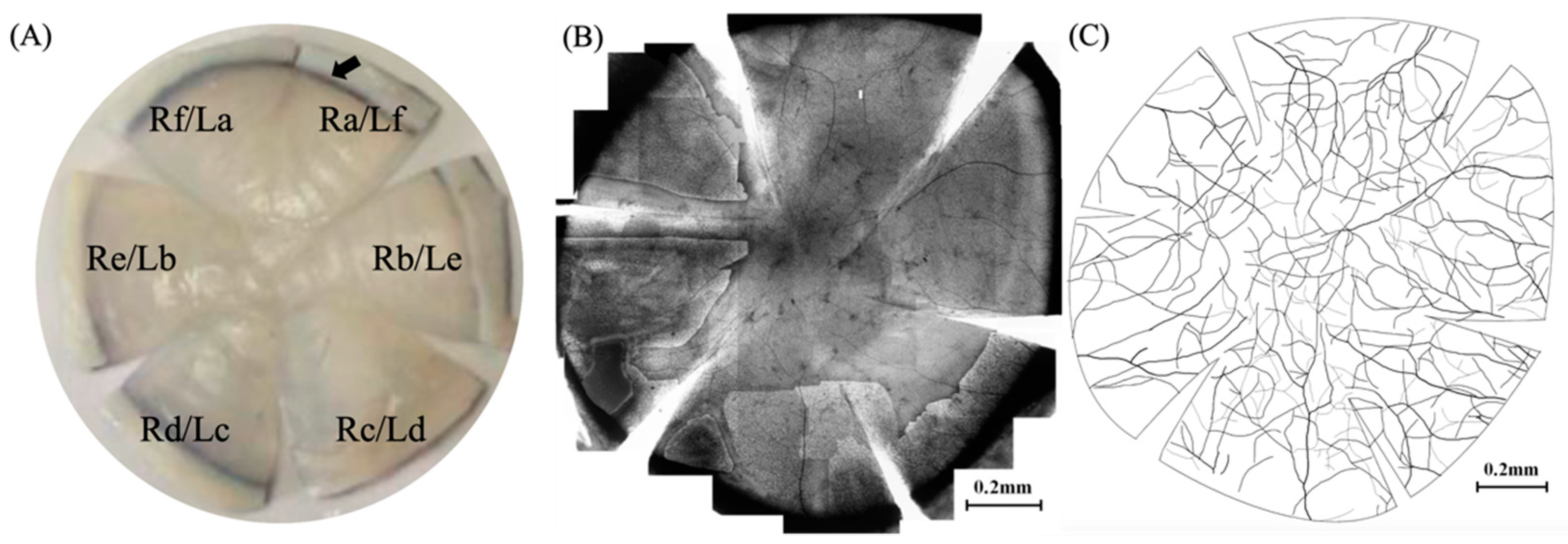 Vetsci 08 00313 g001 550