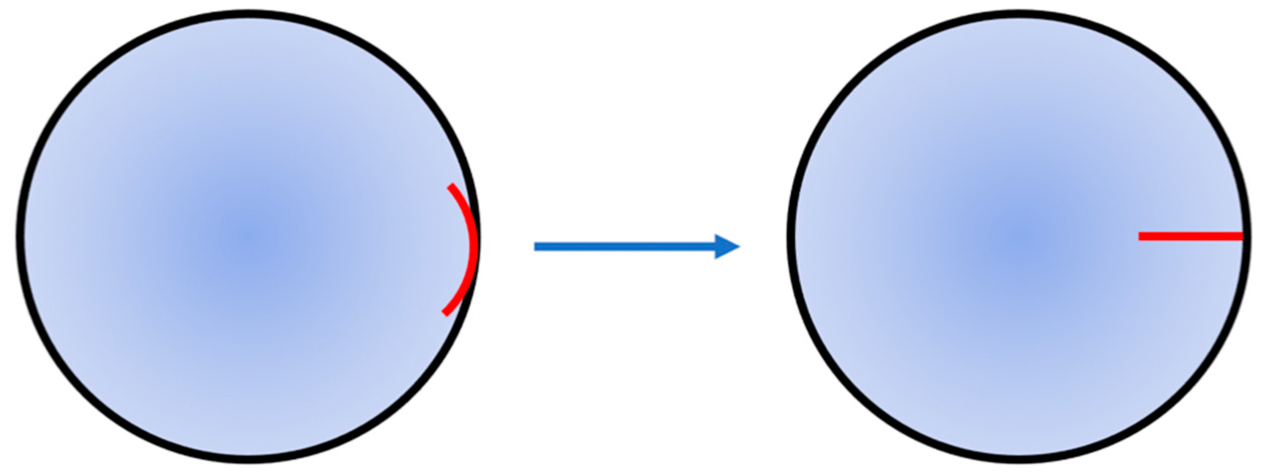 Vetsci 08 00313 g003 550