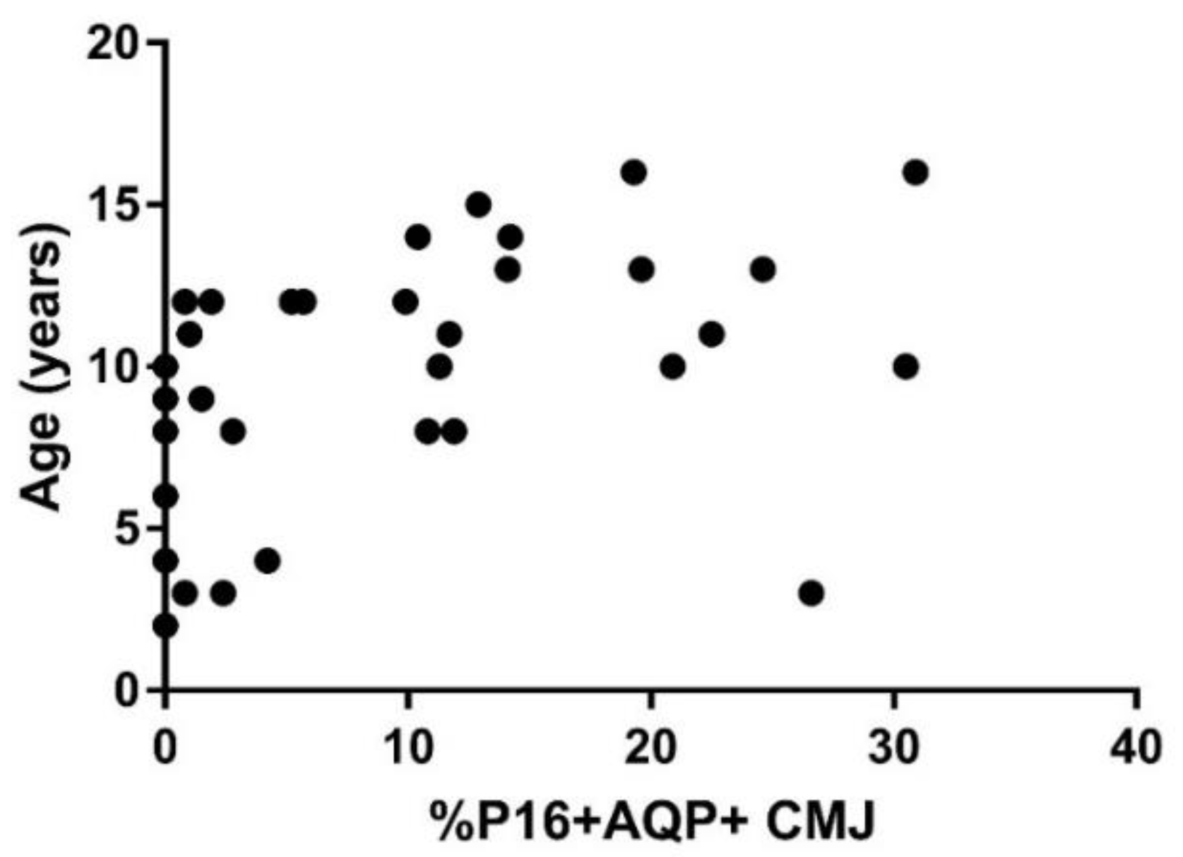 Vetsci 08 00314 g001