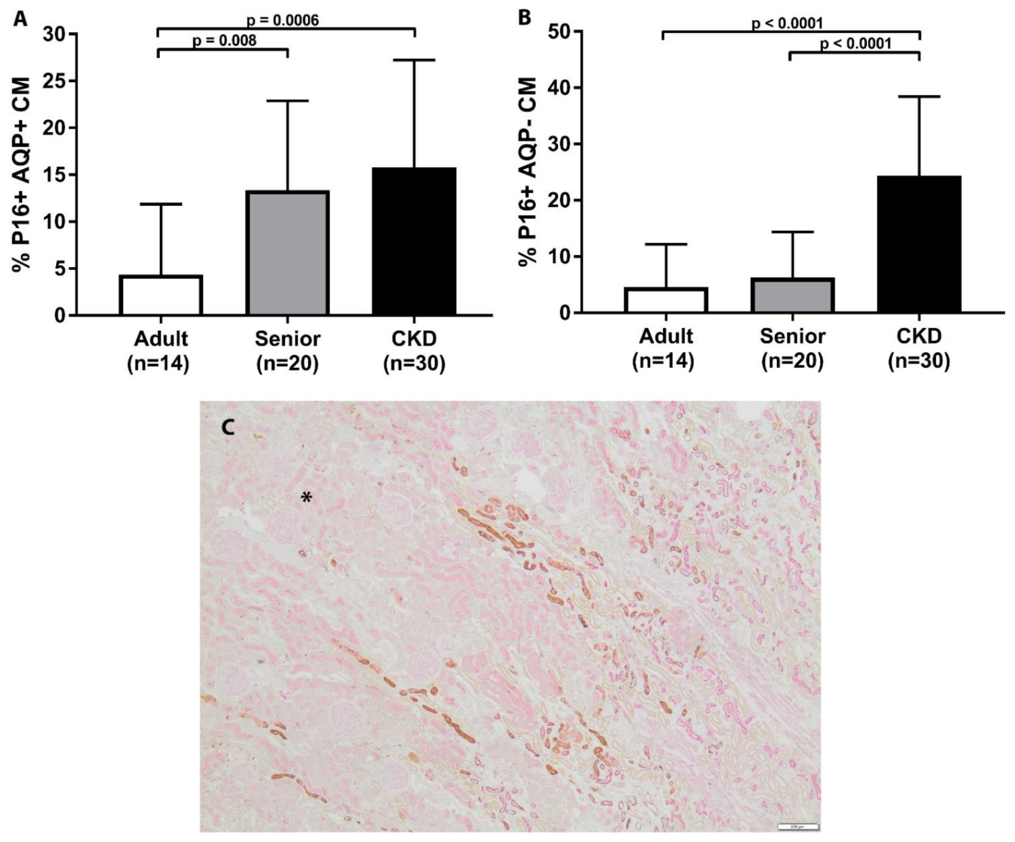 Vetsci 08 00314 g002