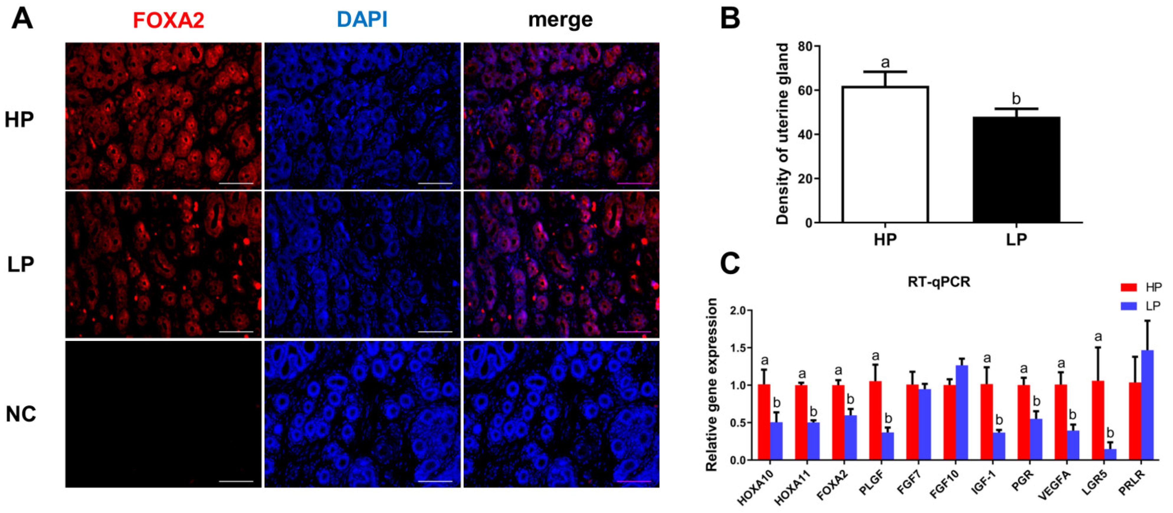 Vetsci 08 00316 g001