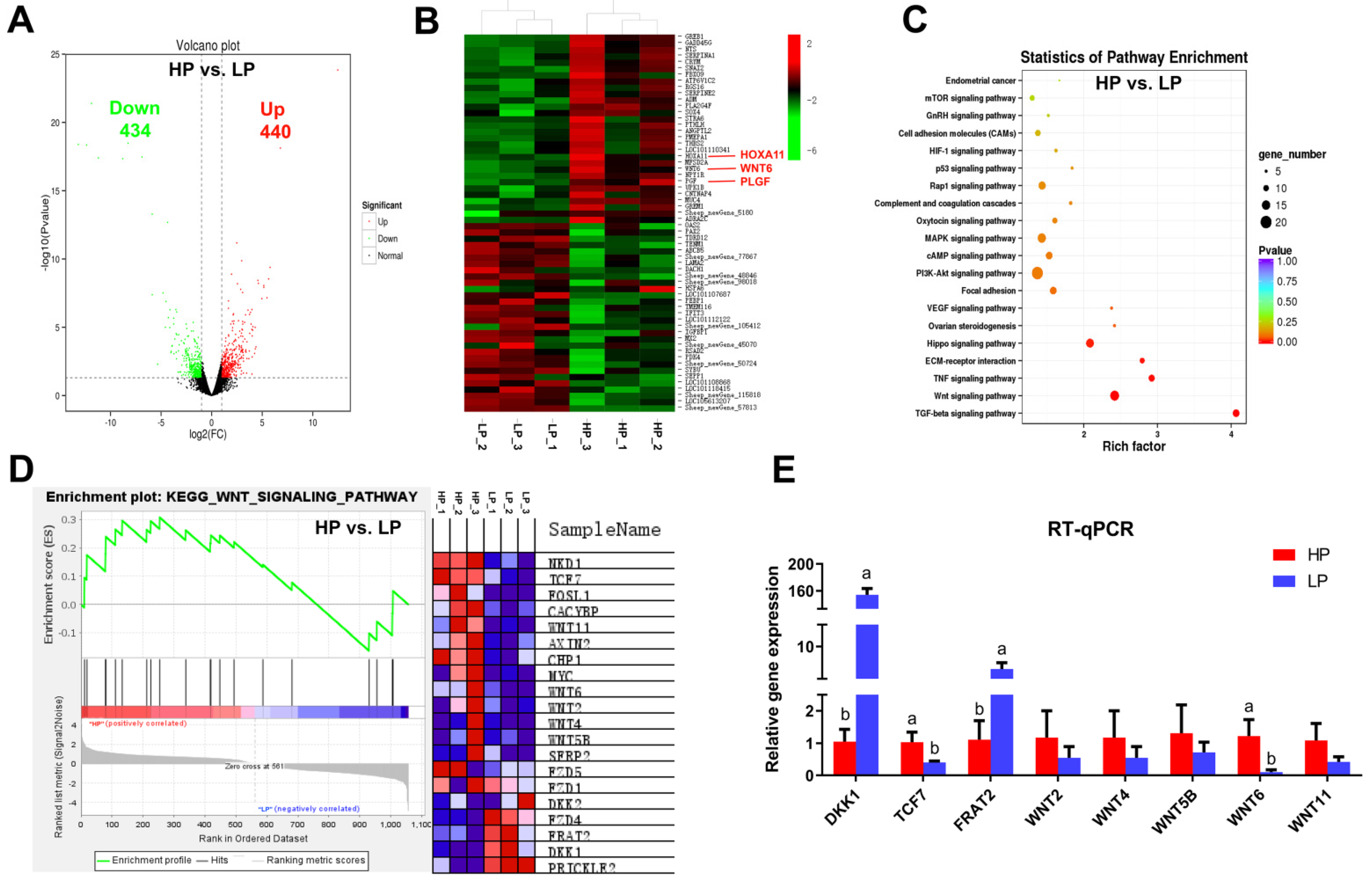 Vetsci 08 00316 g002