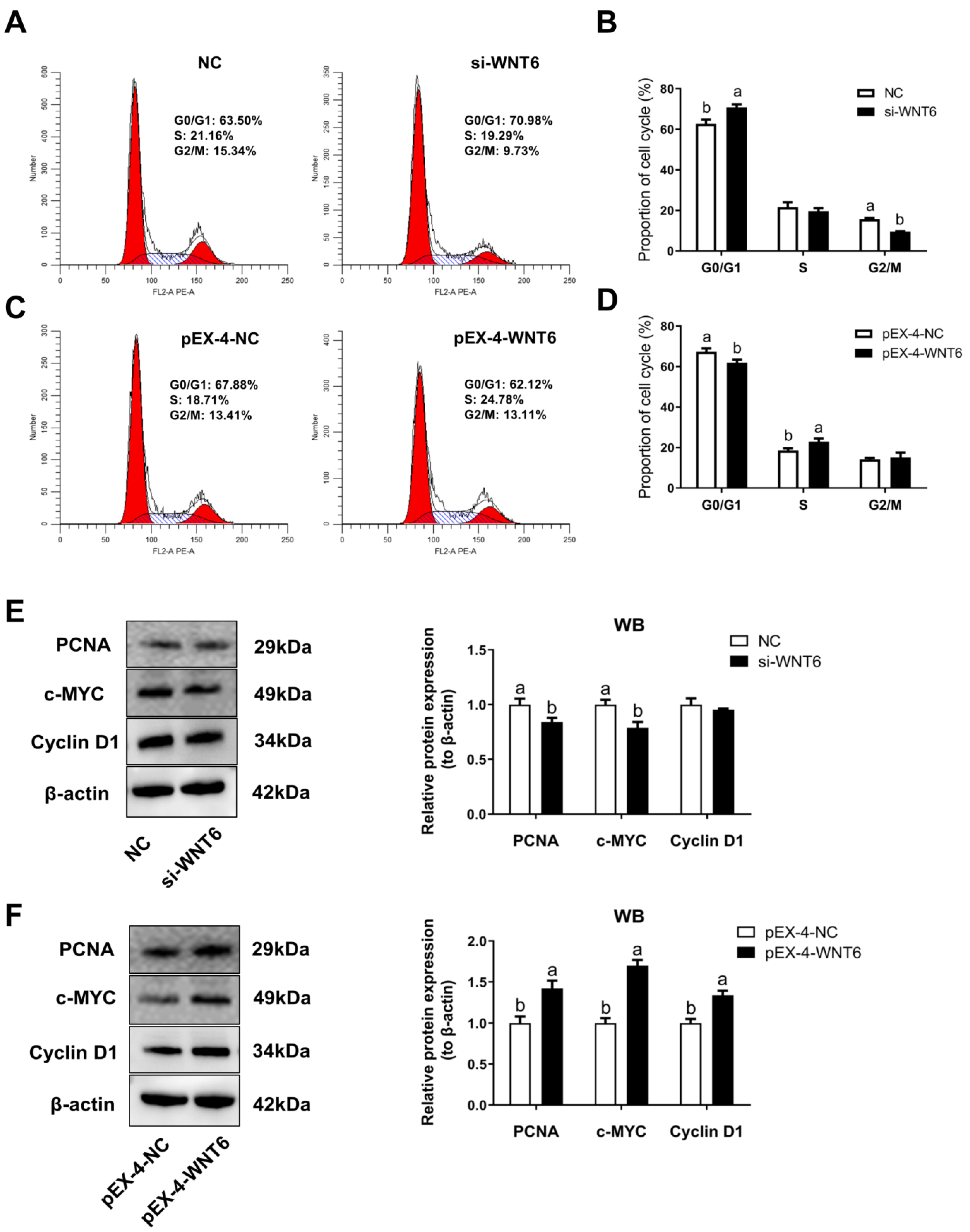 Vetsci 08 00316 g004