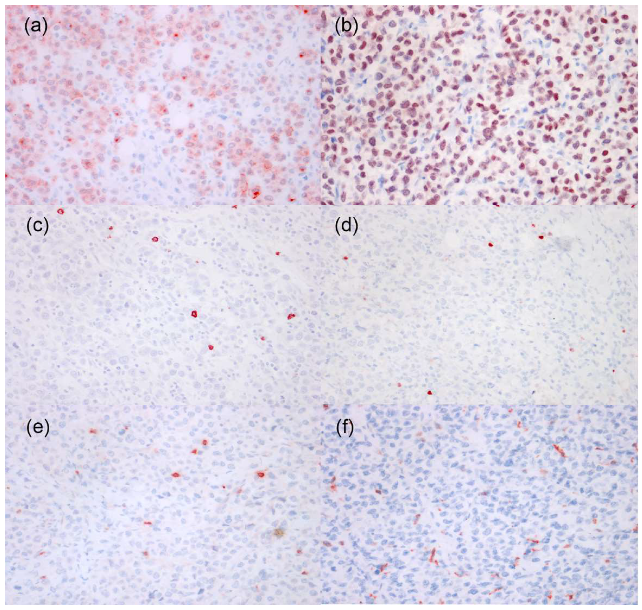 Vetsci 08 00317 g004 550