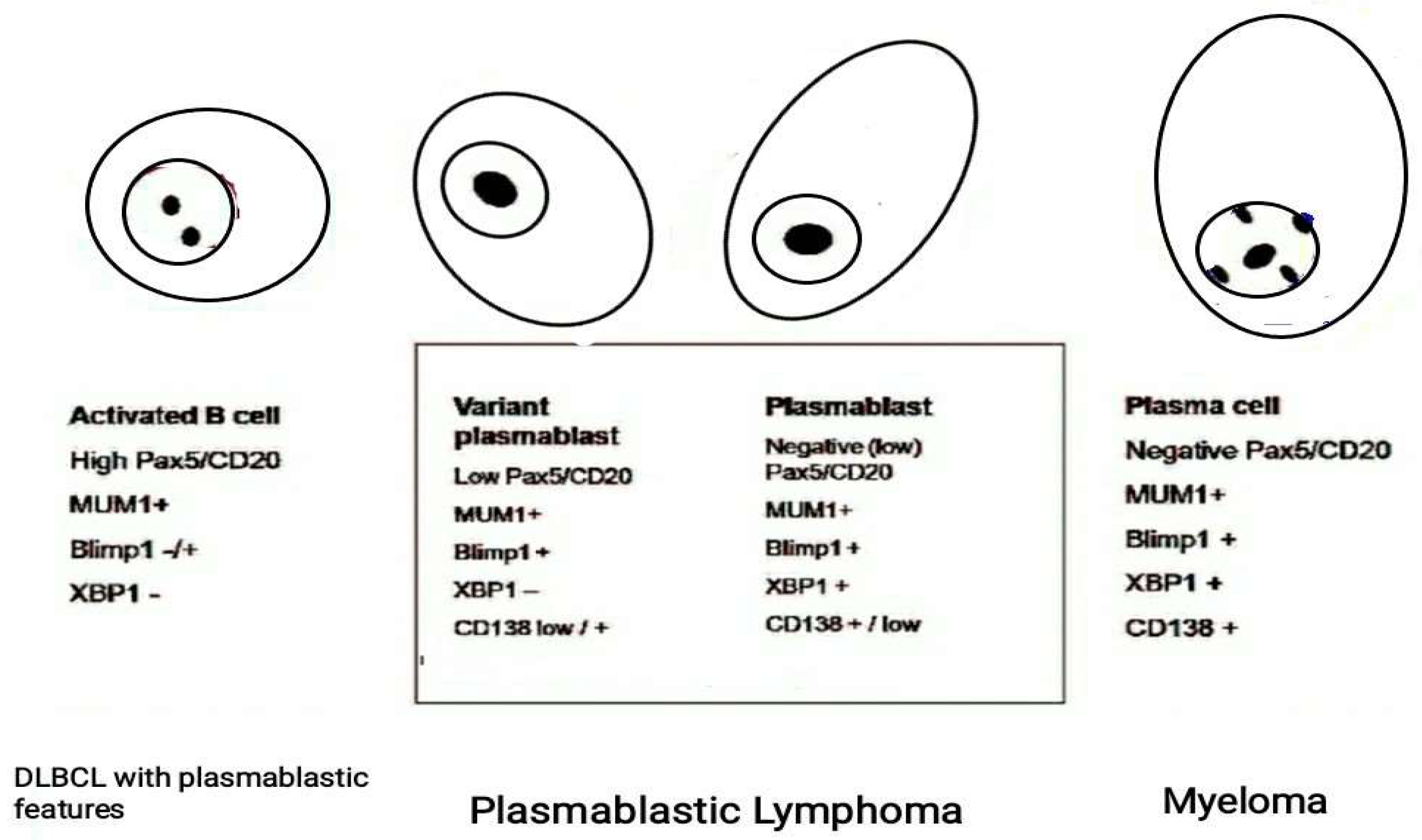 Vetsci 08 00317 g005 550