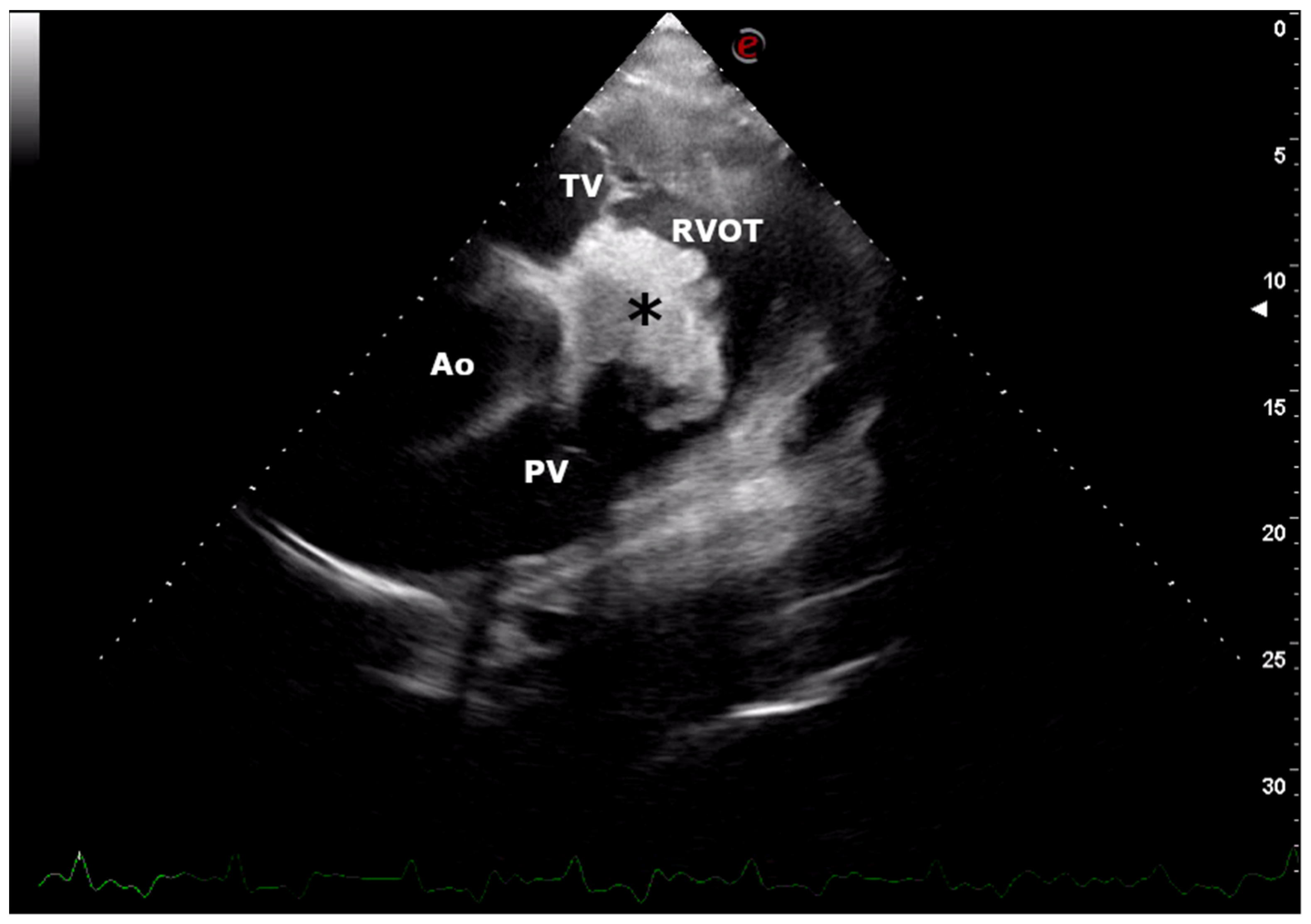Vetsci 08 00318 g002 550
