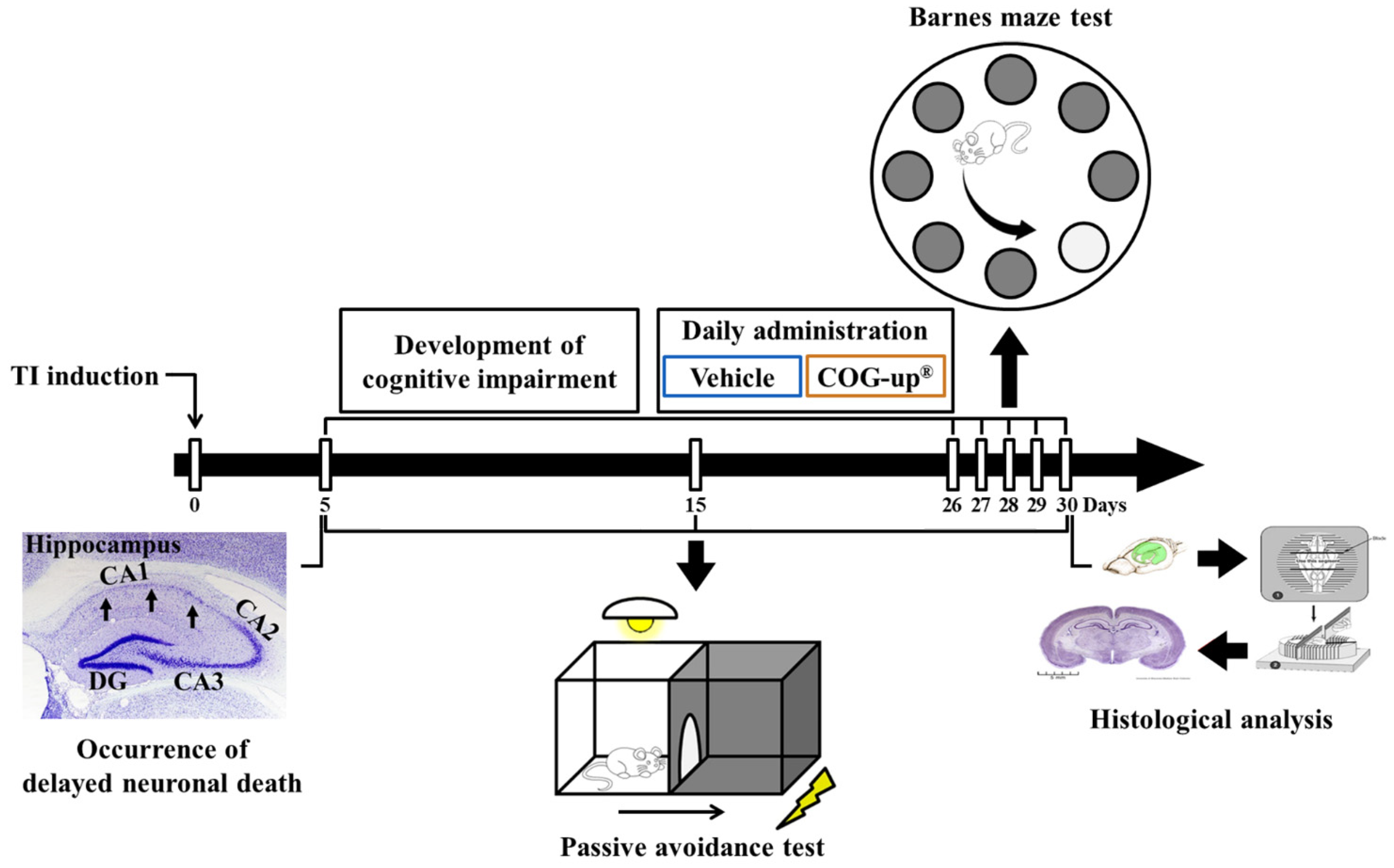 Vetsci 08 00321 g001
