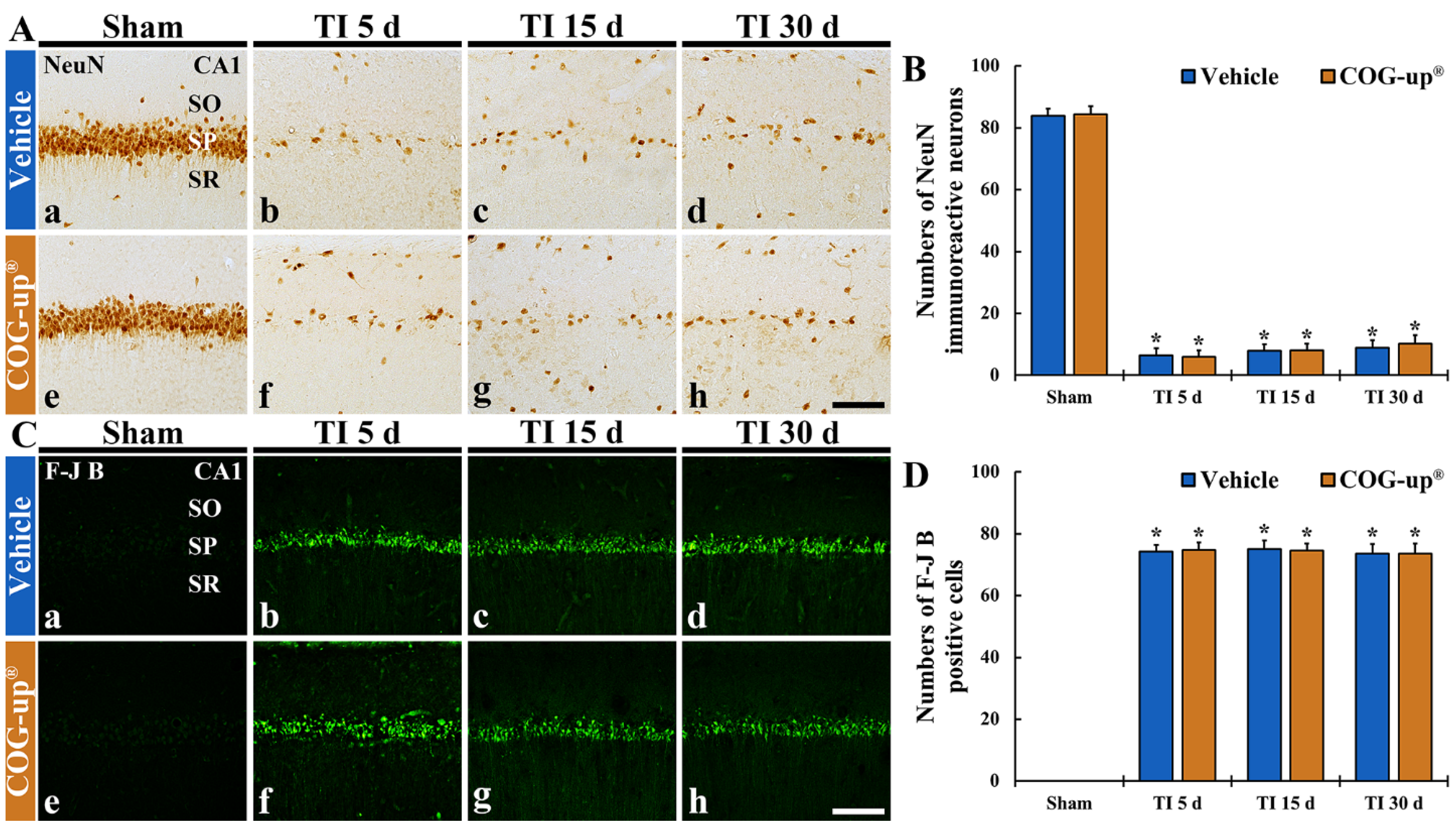Vetsci 08 00321 g005