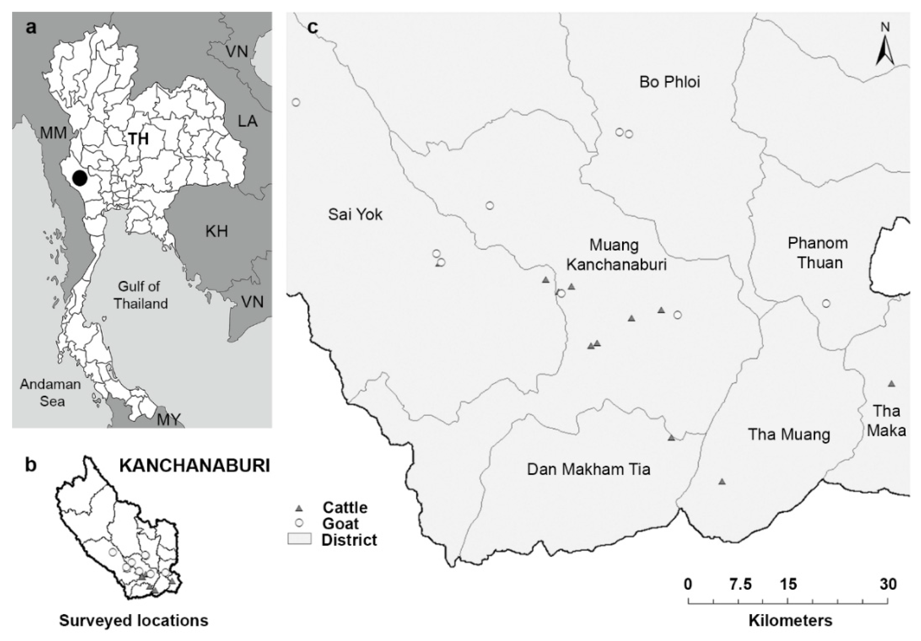 Vetsci 08 00324 g001 550